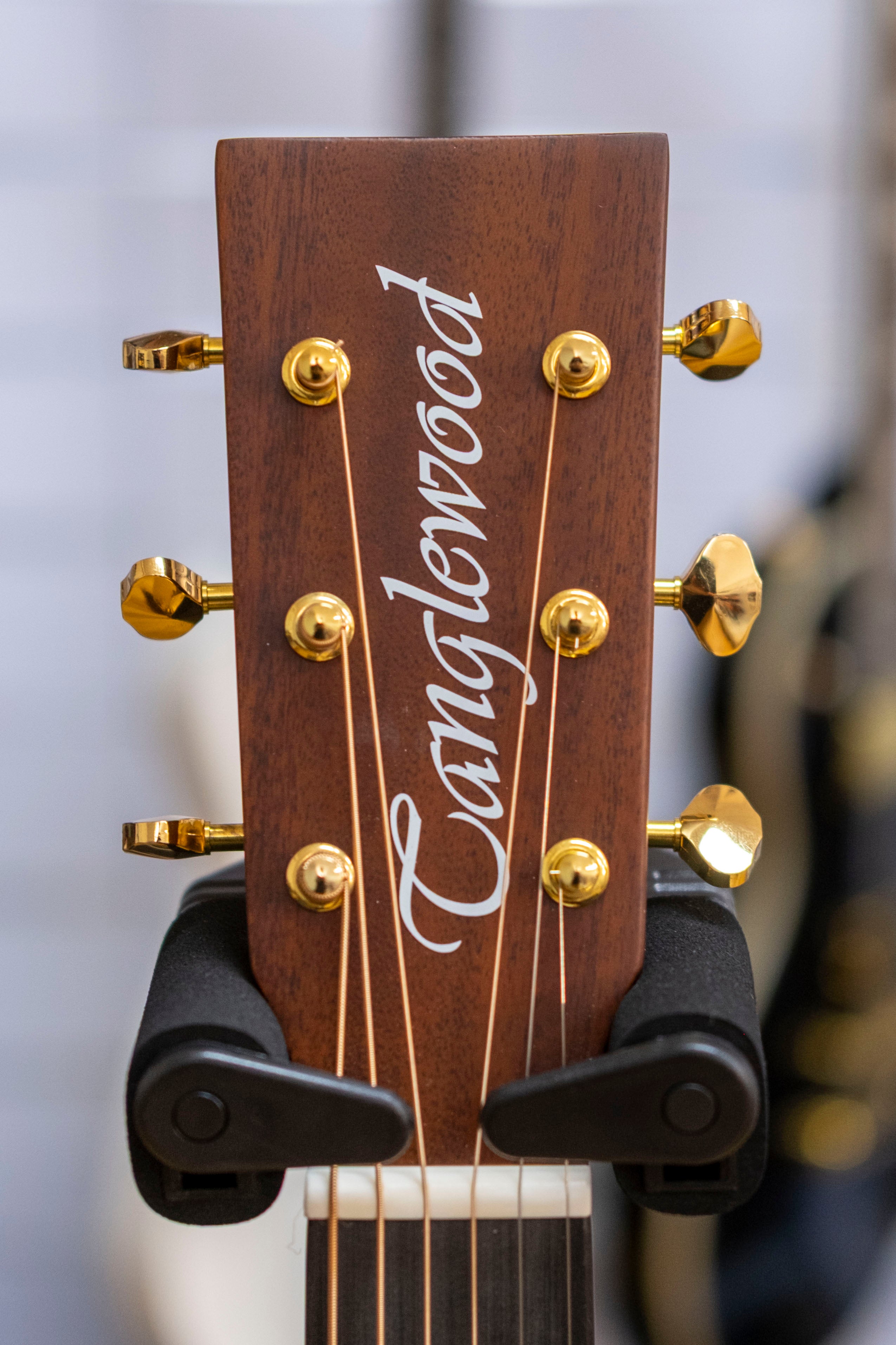 Tanglewood Elemental Dreadnought Acoustic Electric Guitar (Solid Mahogany/Mahogany)