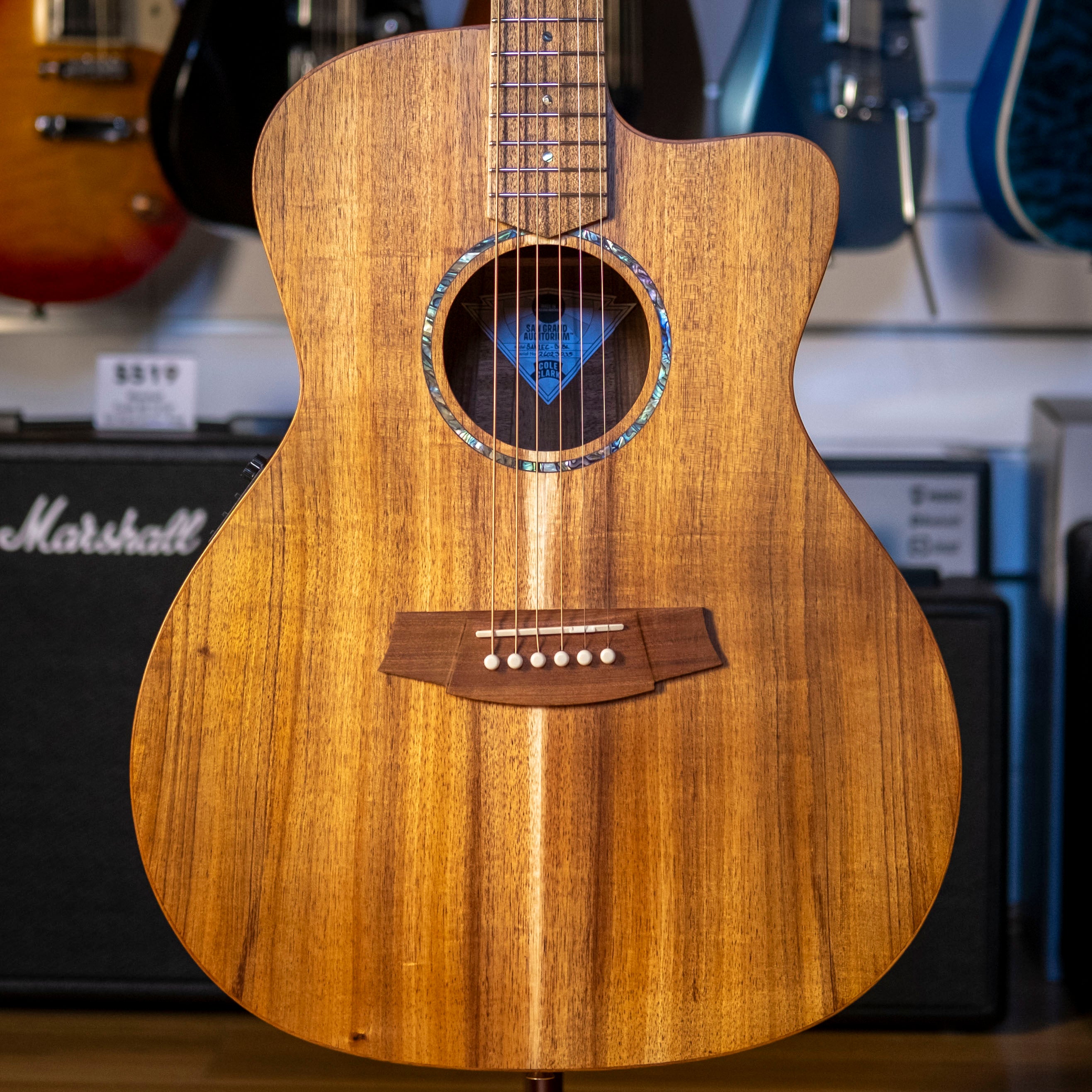 Cole Clark Studio Series Grand Auditorium Acoustic Electric Guitar with Case (All Blackwood)