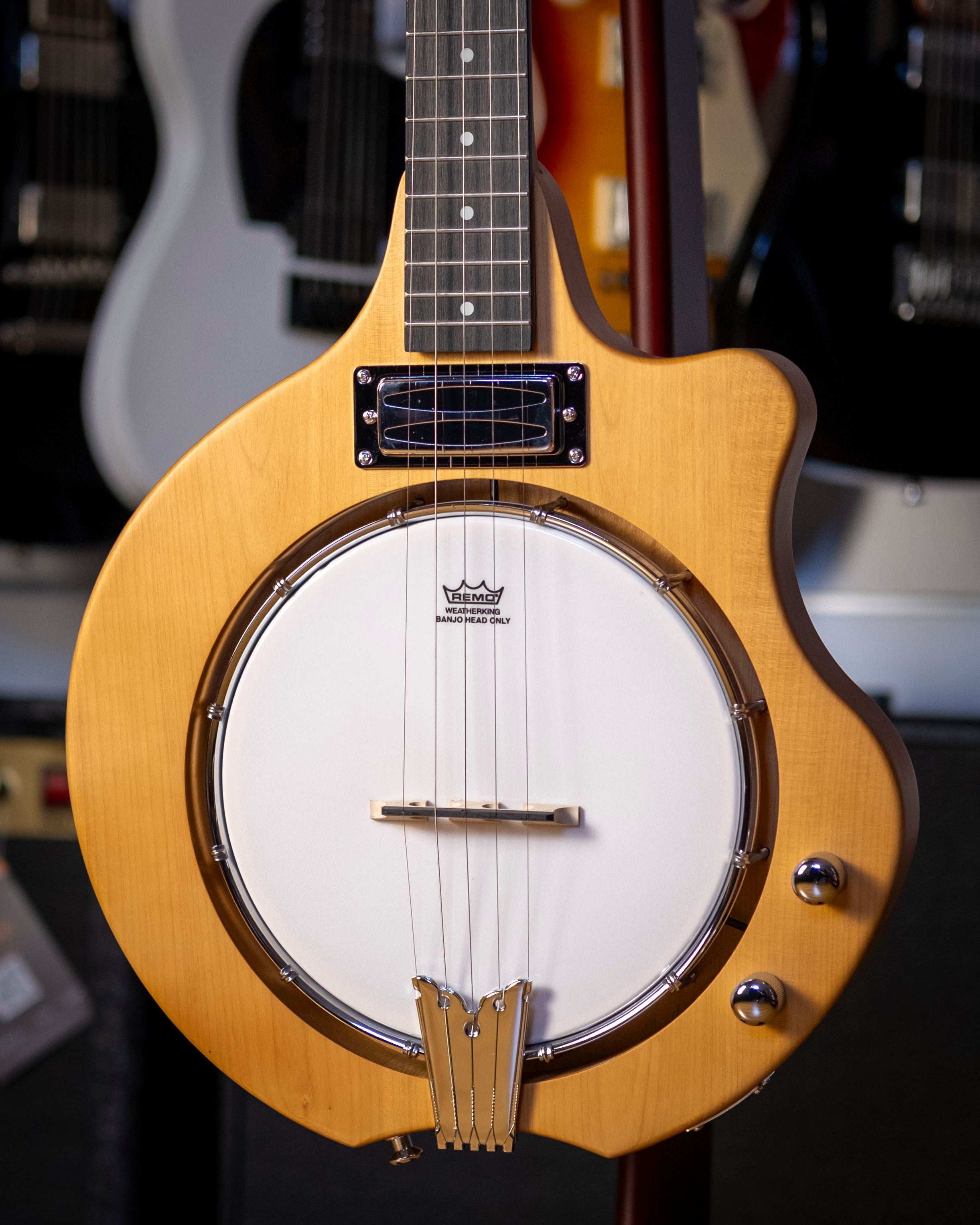 Bryden 5-String Electric Hybrid Mountain Banjo