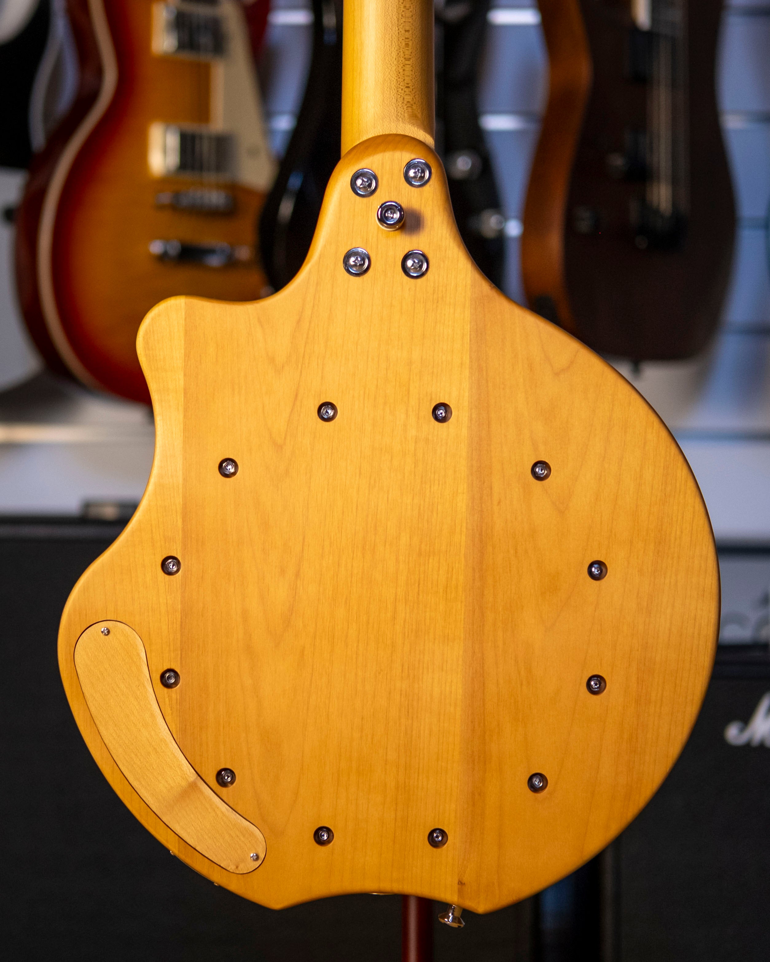 Bryden 5-String Electric Hybrid Mountain Banjo