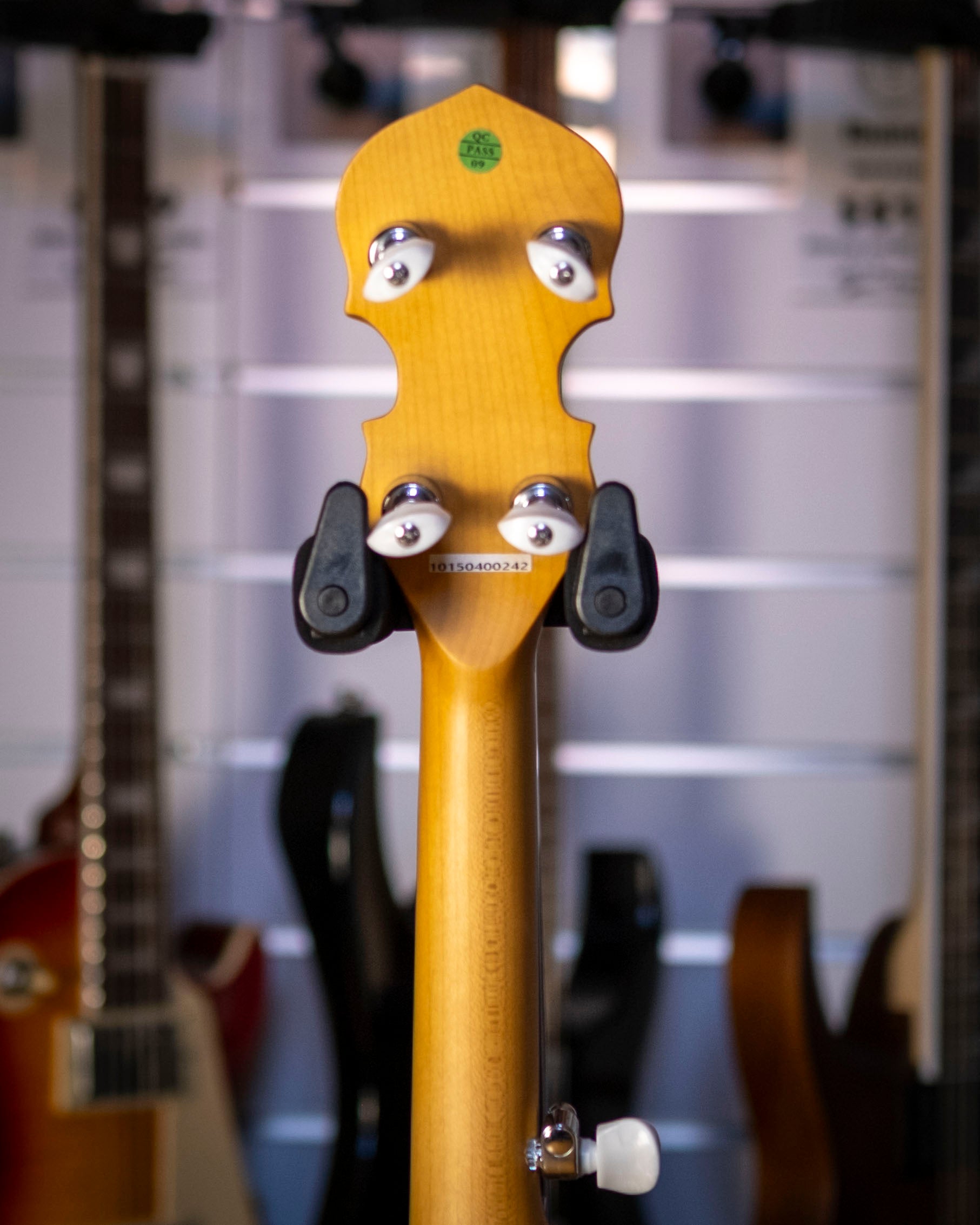 Bryden 5-String Electric Hybrid Mountain Banjo