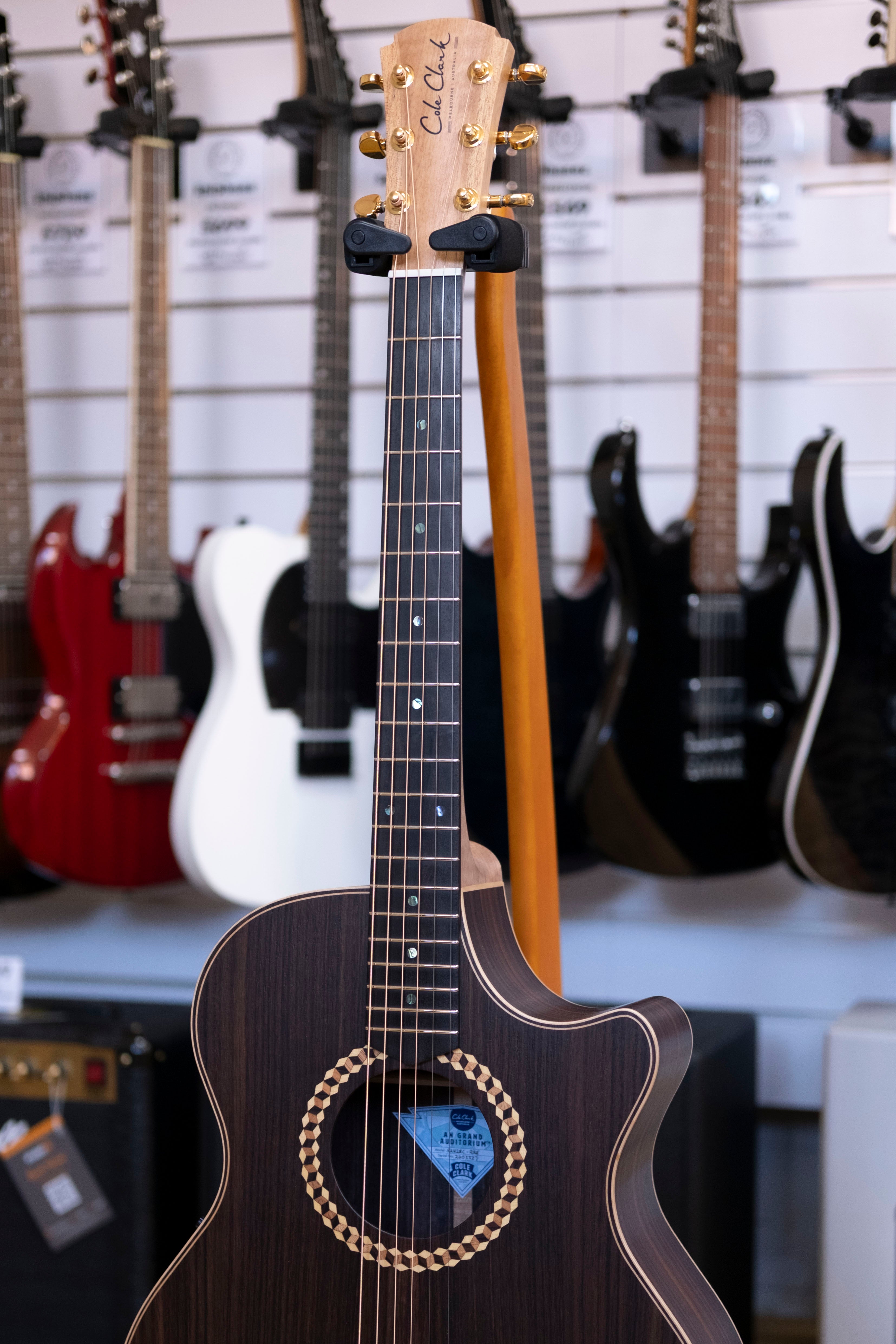 Cole Clark RAN Recording 2 Series Acoustic Electric Guitar with Hardcase (All Rosewood)