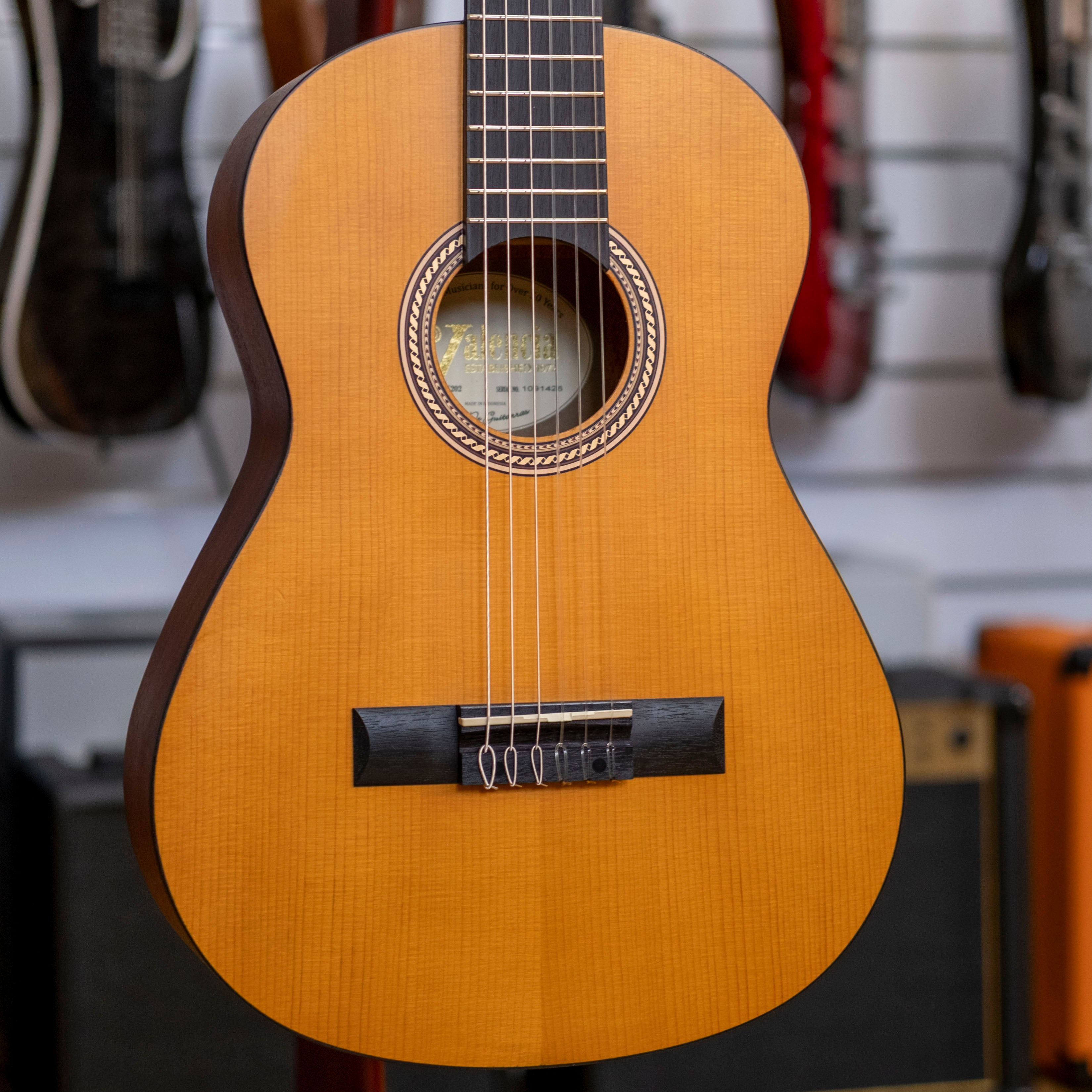 Valencia 200 Series 1/2 Size Nylon String Classical Guitar (Antique Natural)