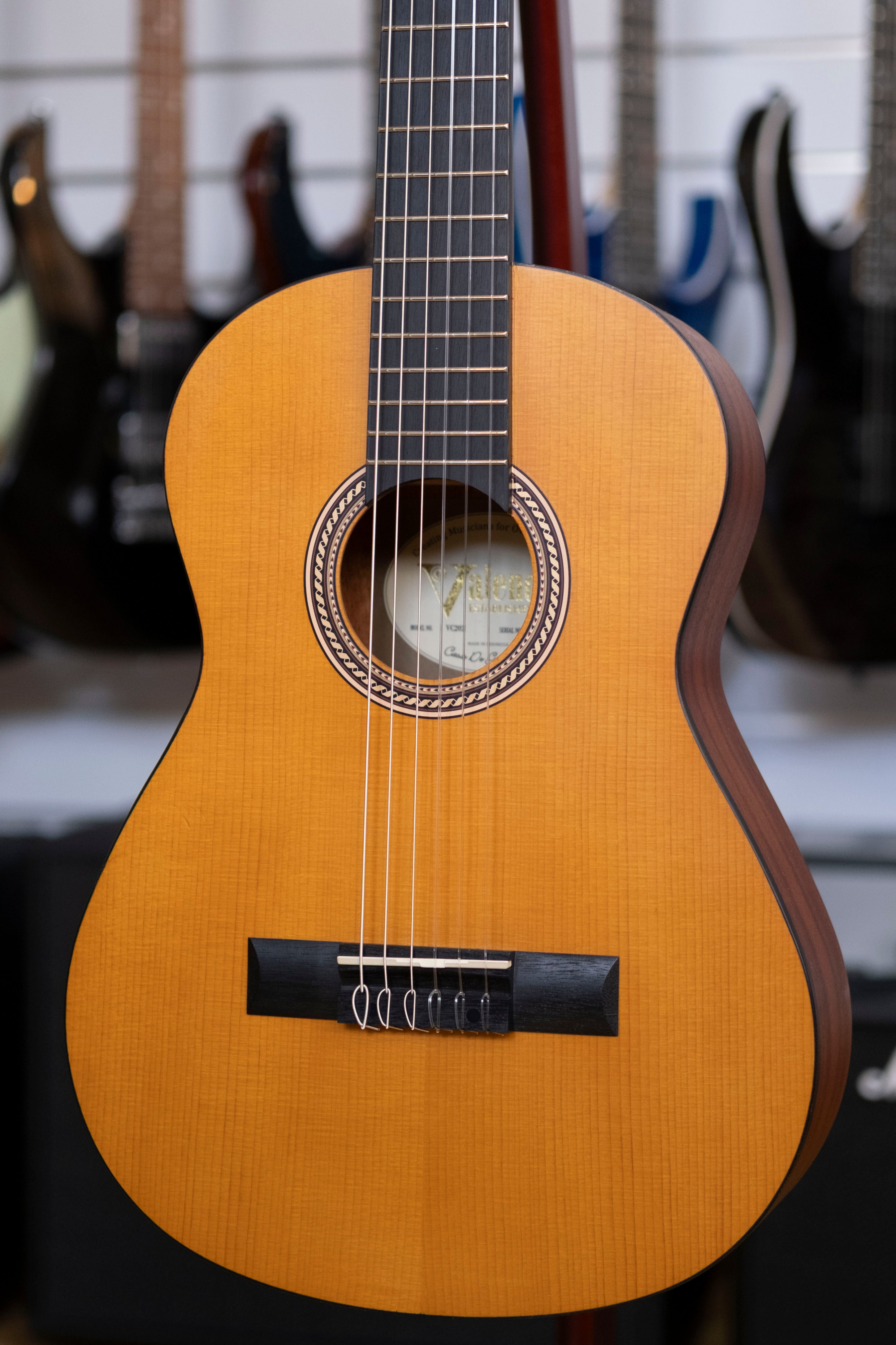 Valencia 200 Series 1/2 Size Nylon String Classical Guitar (Antique Natural)