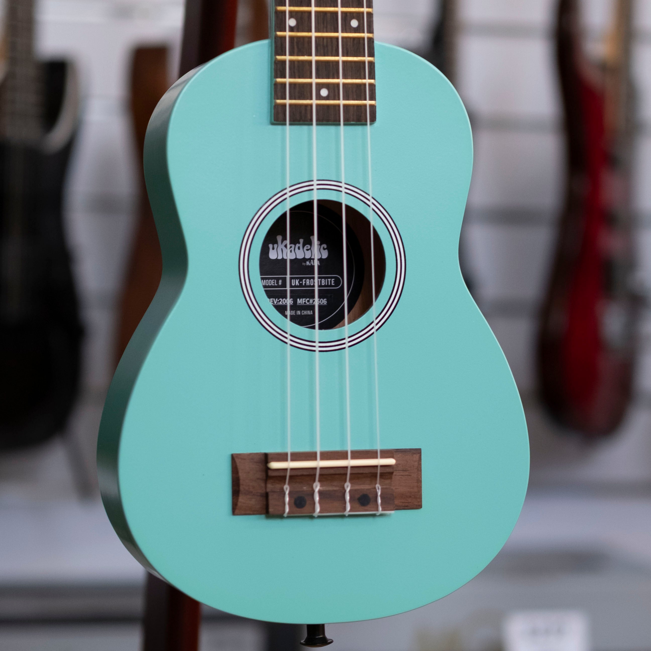 Kala Ukadelic Soprano Ukulele (Frostbite)