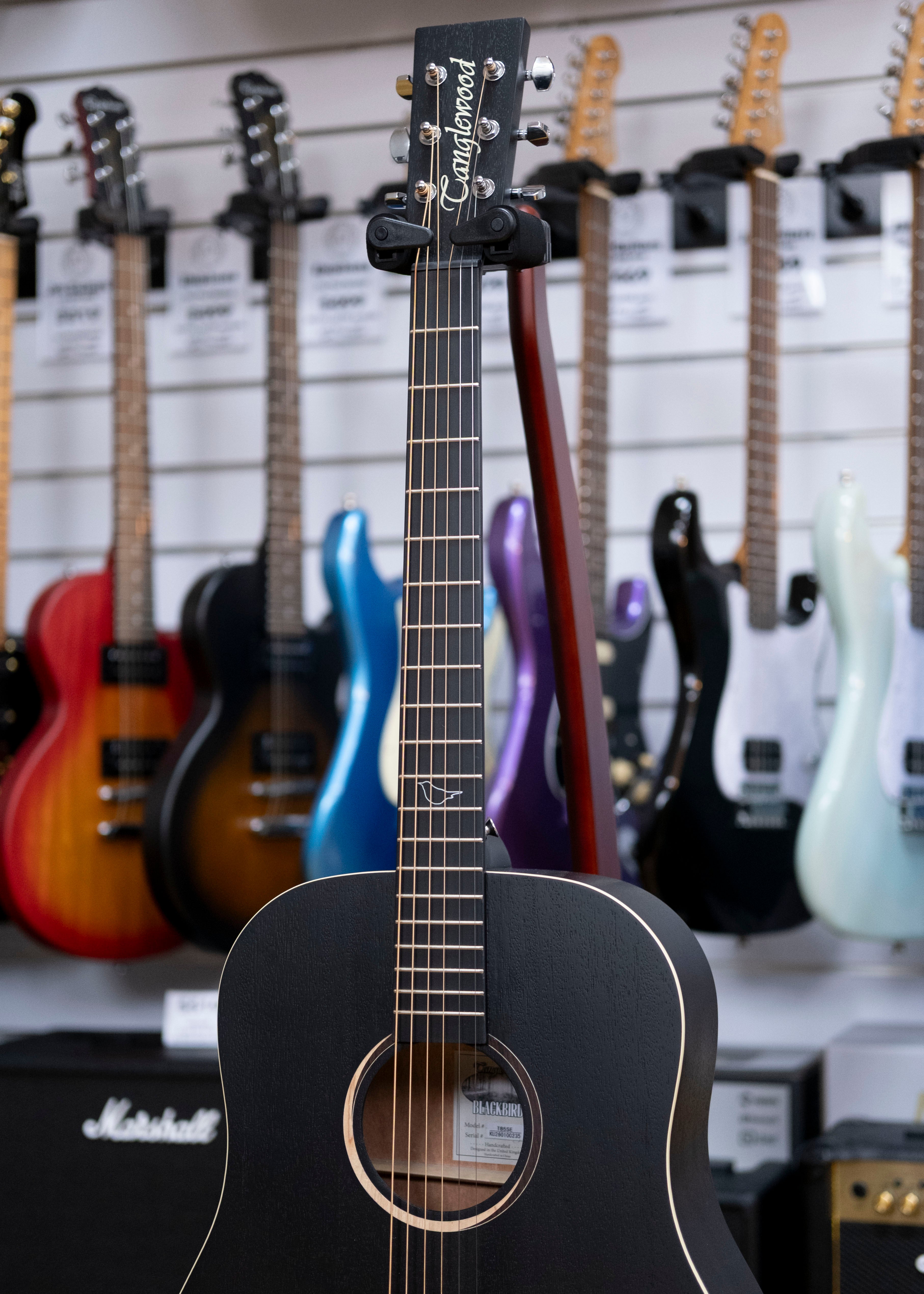 Tanglewood Blackbird Sloped Shoulder Acoustic Electric Guitar (Mahogany)