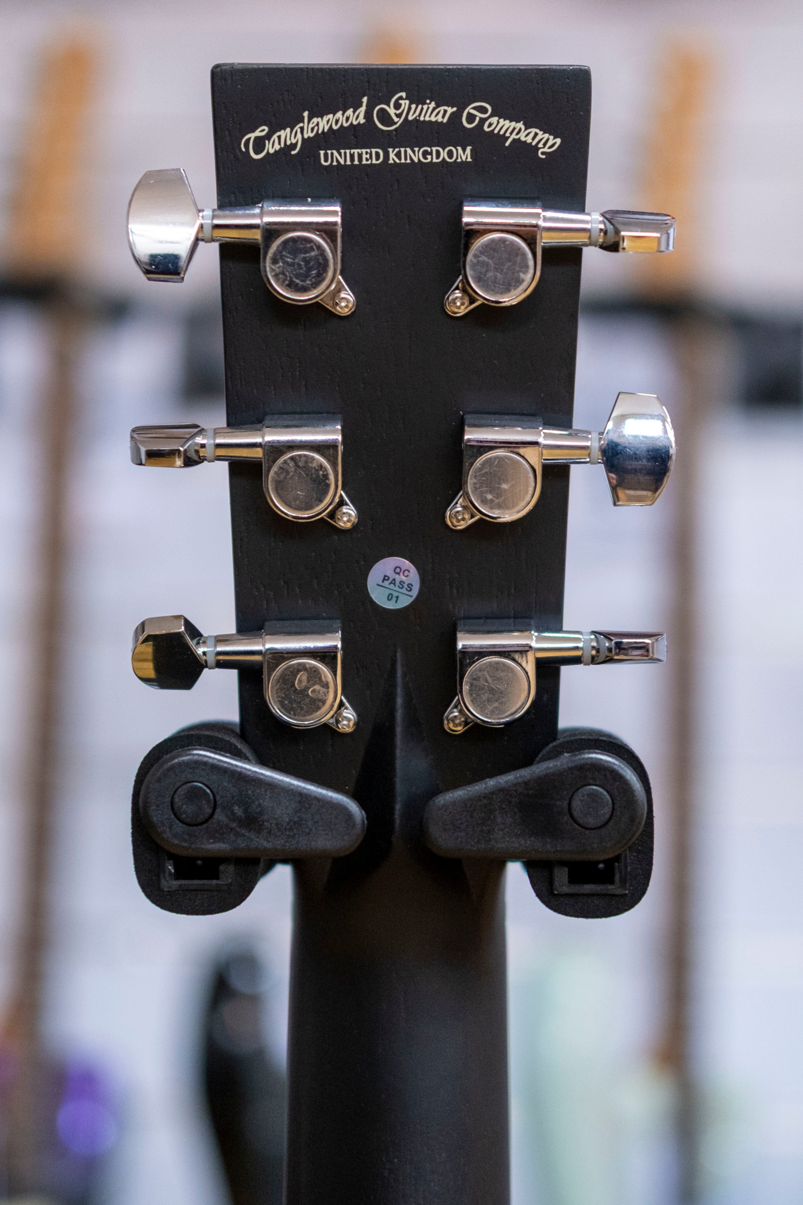 Tanglewood Blackbird Sloped Shoulder Acoustic Electric Guitar (Mahogany)