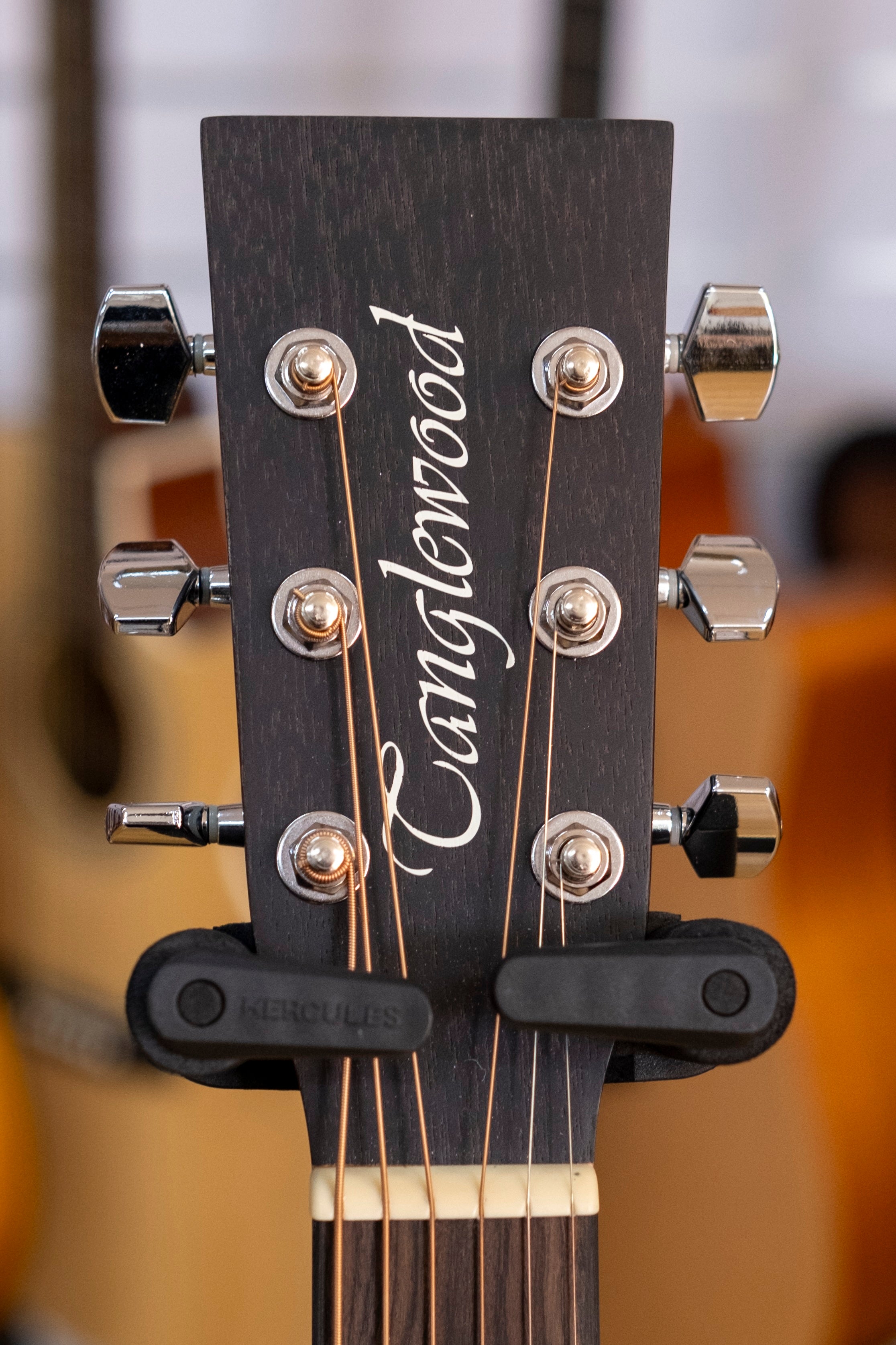 Tanglewood Blackbird Series Sloped Shoulder Acoustic Electric Guitar with DCM Polyfoam Hardcase