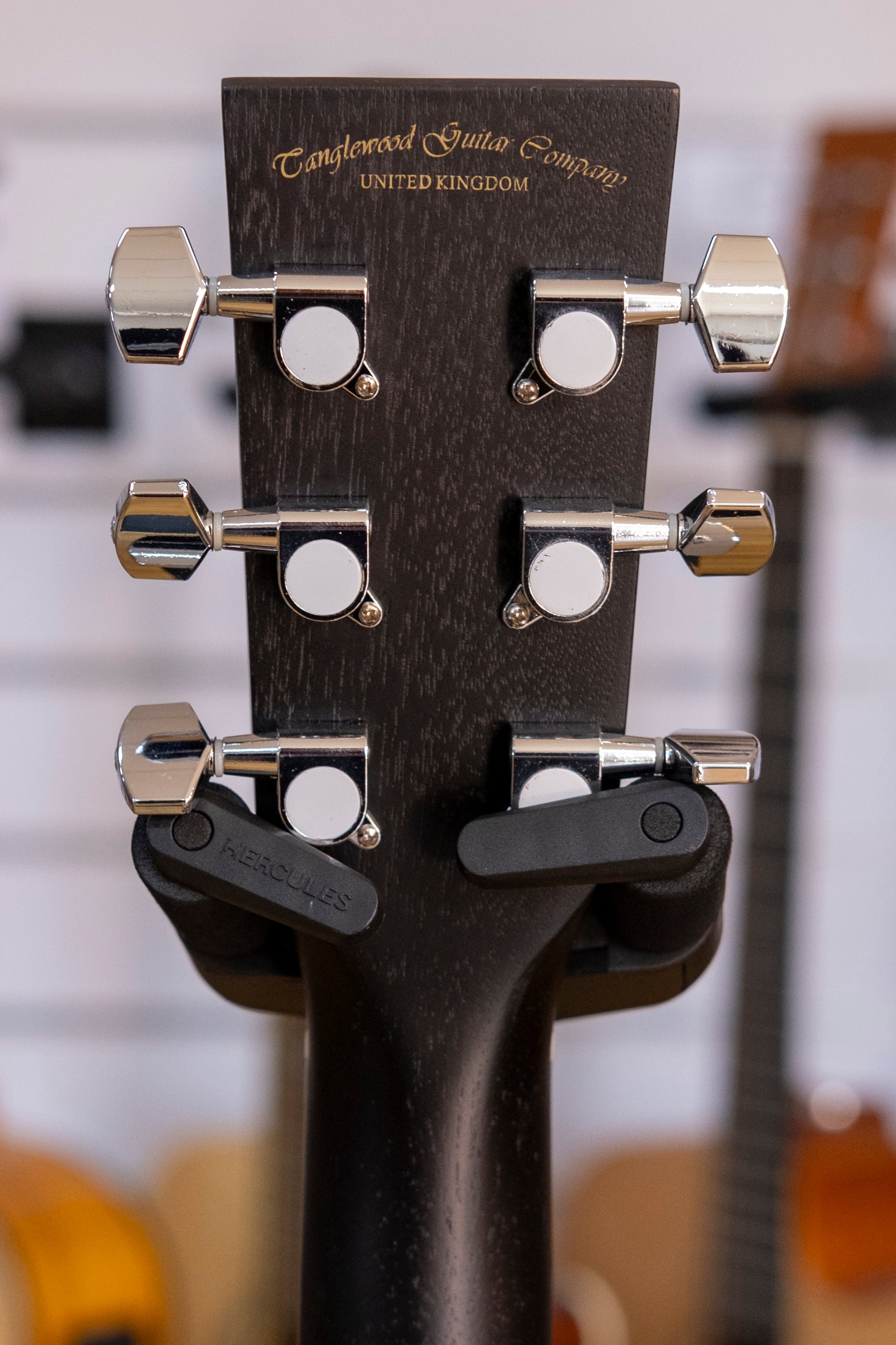 Tanglewood Blackbird Series Sloped Shoulder Acoustic Electric Guitar with DCM Polyfoam Hardcase
