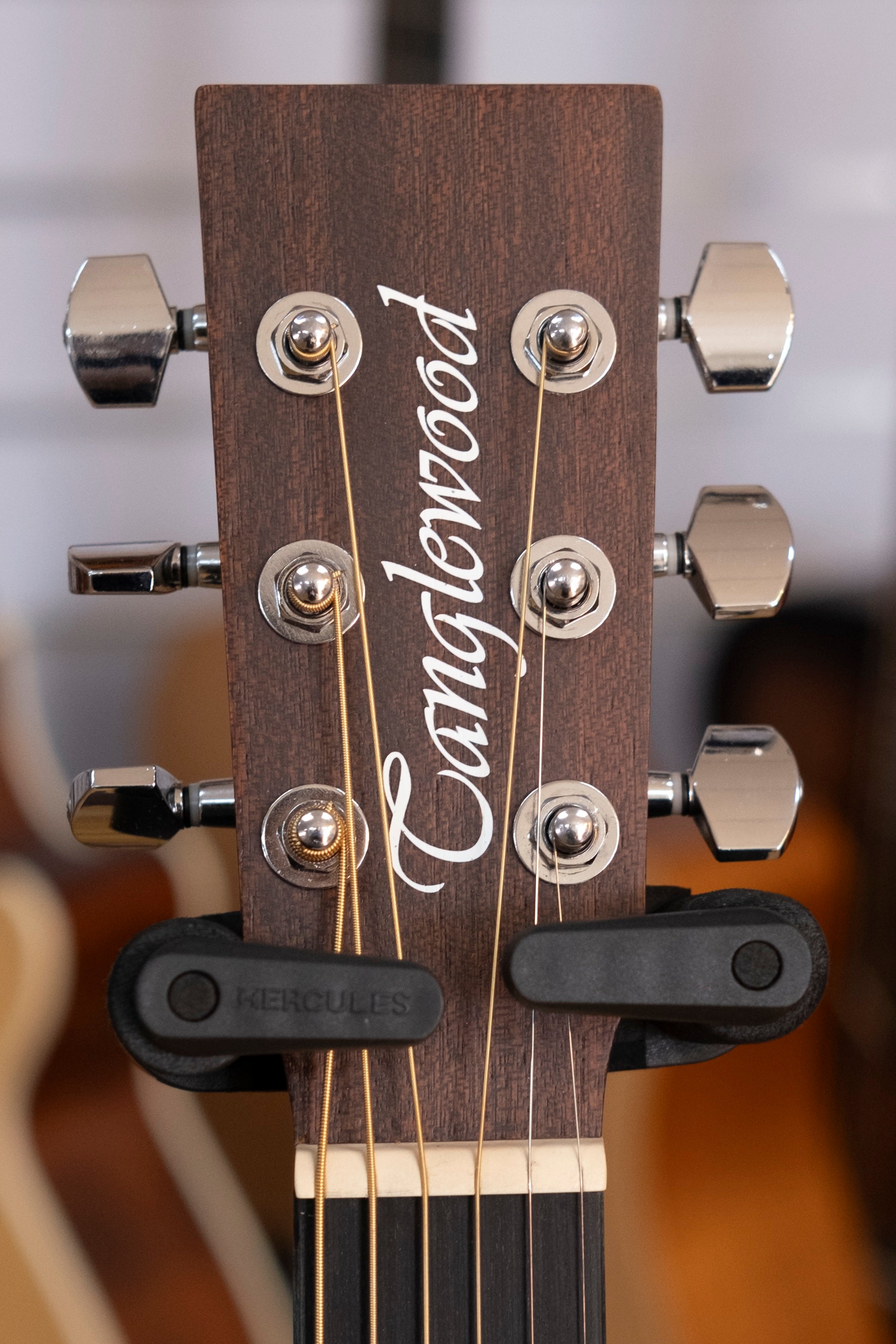 Tanglewood Crossroad Series Orchestra Acoustic Electric Guitar with DCM Polyfoam Case