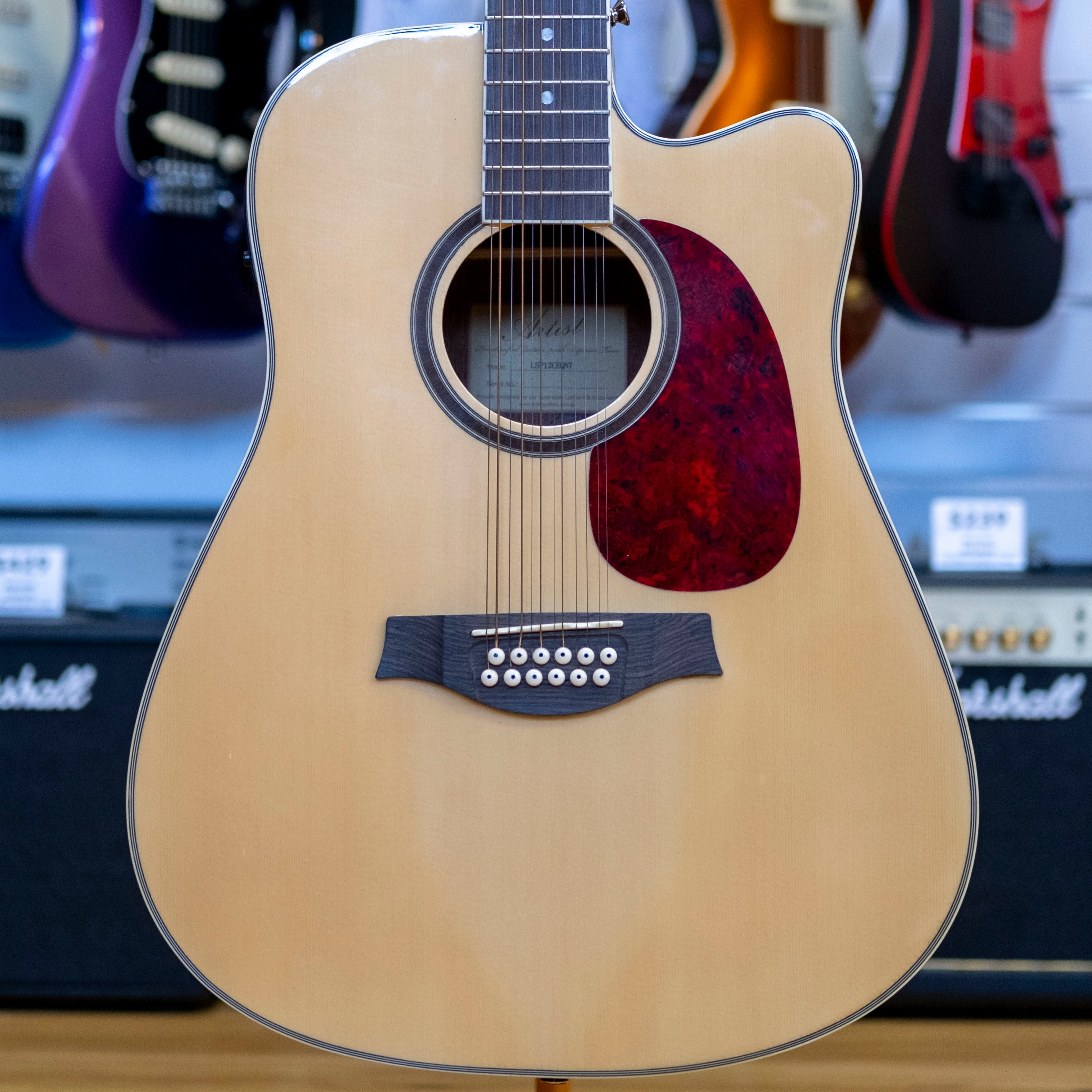 Artist Guitars 12-String Acoustic Electric Guitar with Hardcase (Pre-Owned)