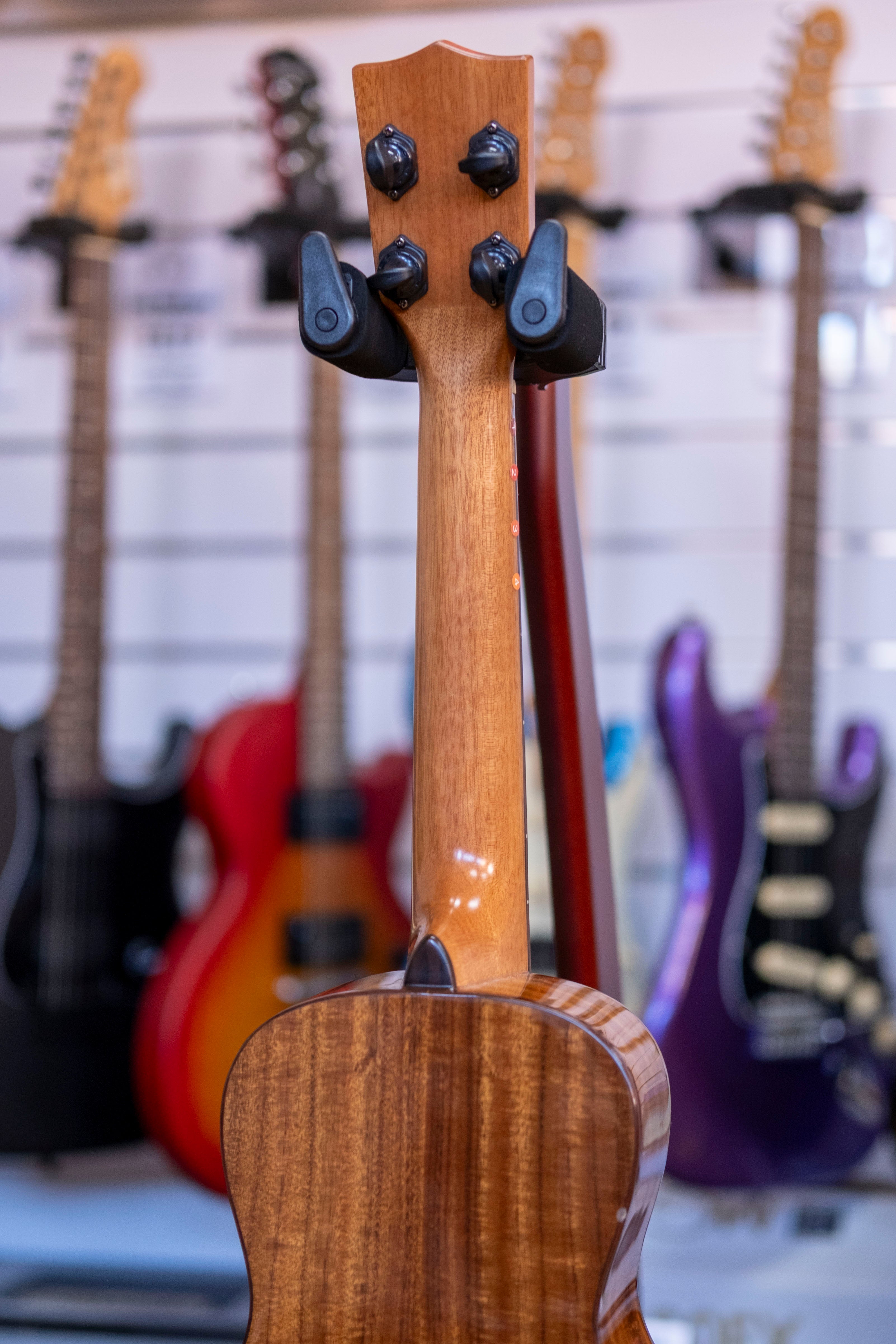 Kala KA-SCAC-C Solid Cedar Concert Ukulele with Mahalo Gig Bag (Pre-Owned)