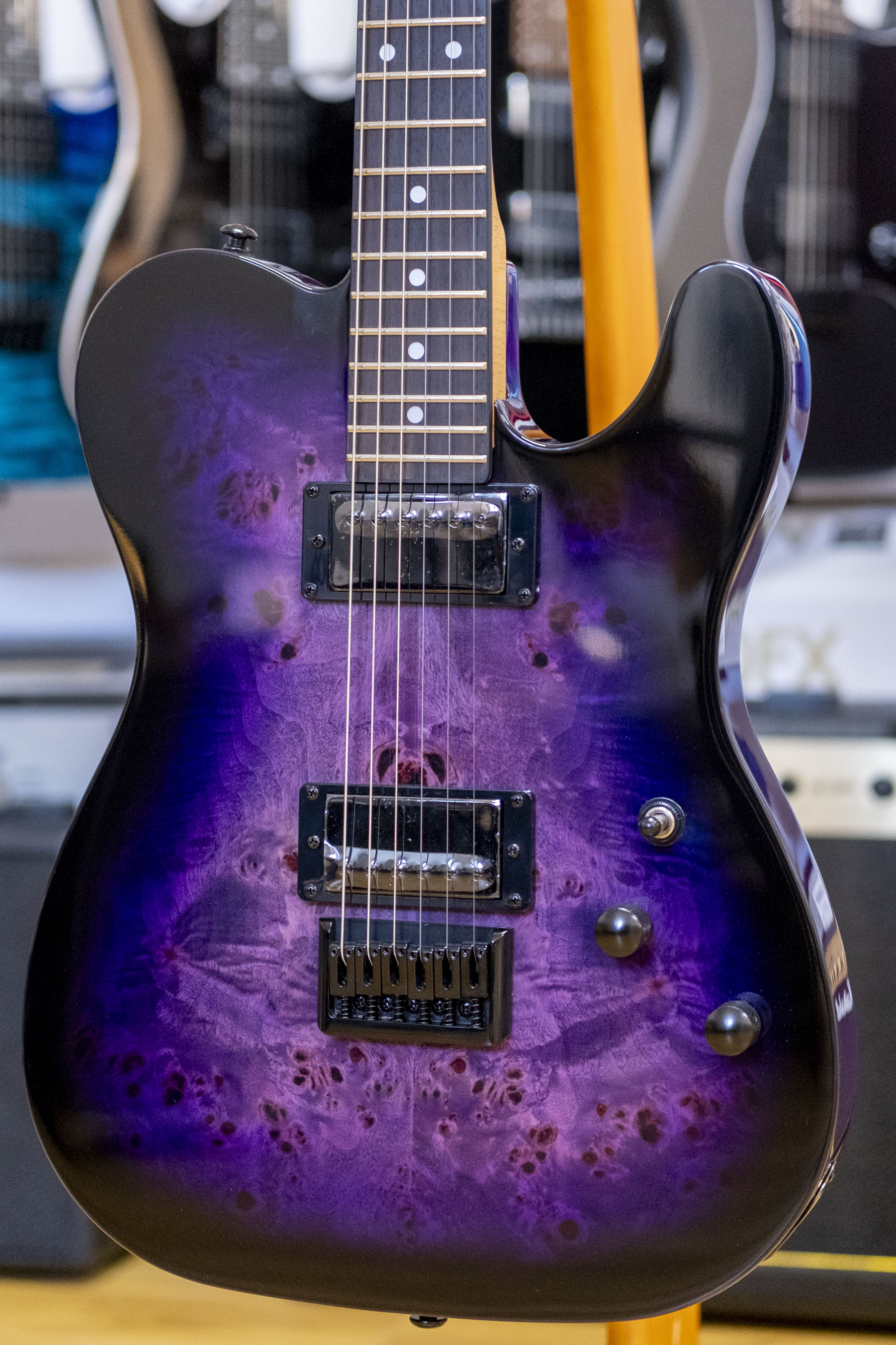 Schecter PT Standard Electric Guitar (Purple Burst Burl)