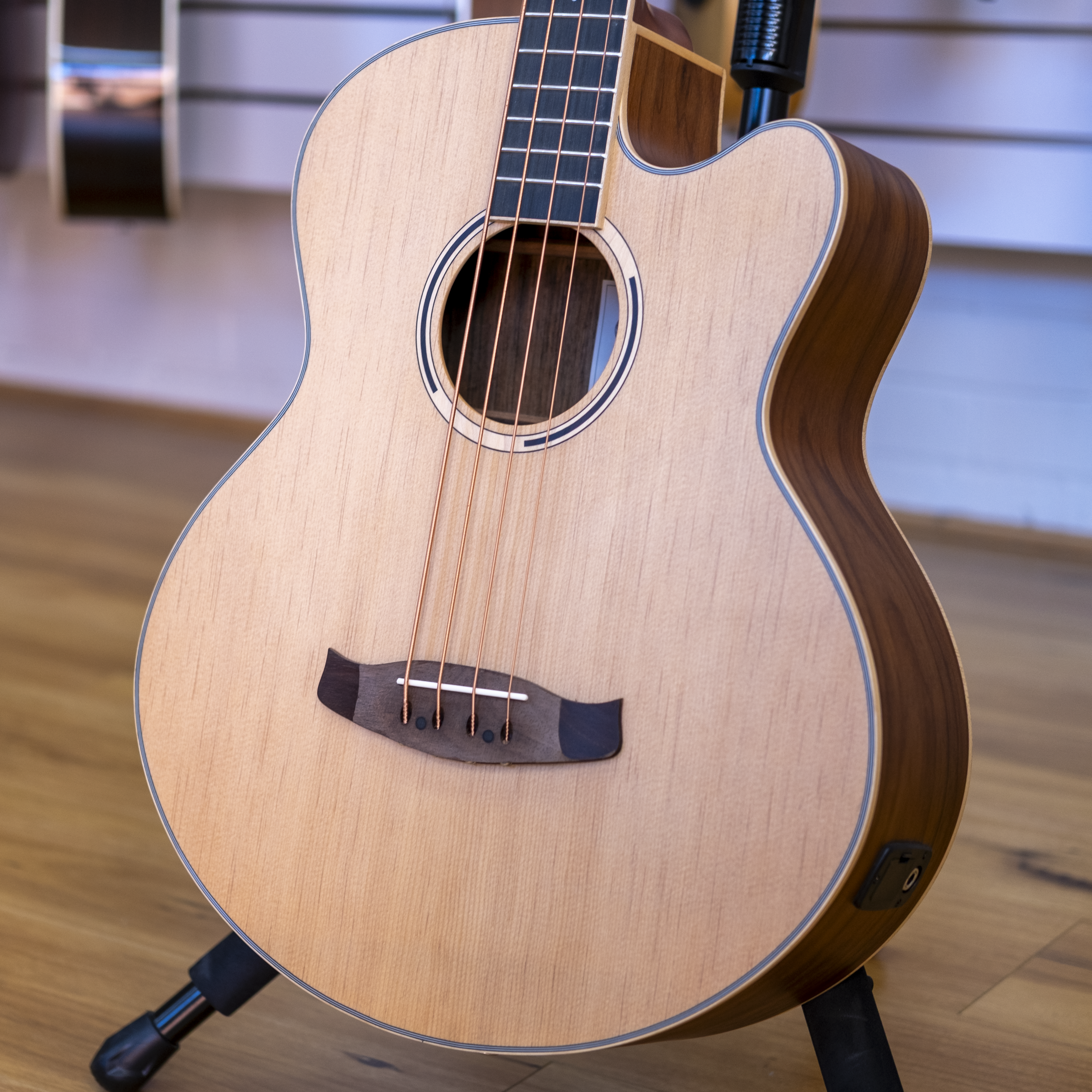 Tanglewood Discovery Exotic Acoustic Electric Bass (Black Walnut)