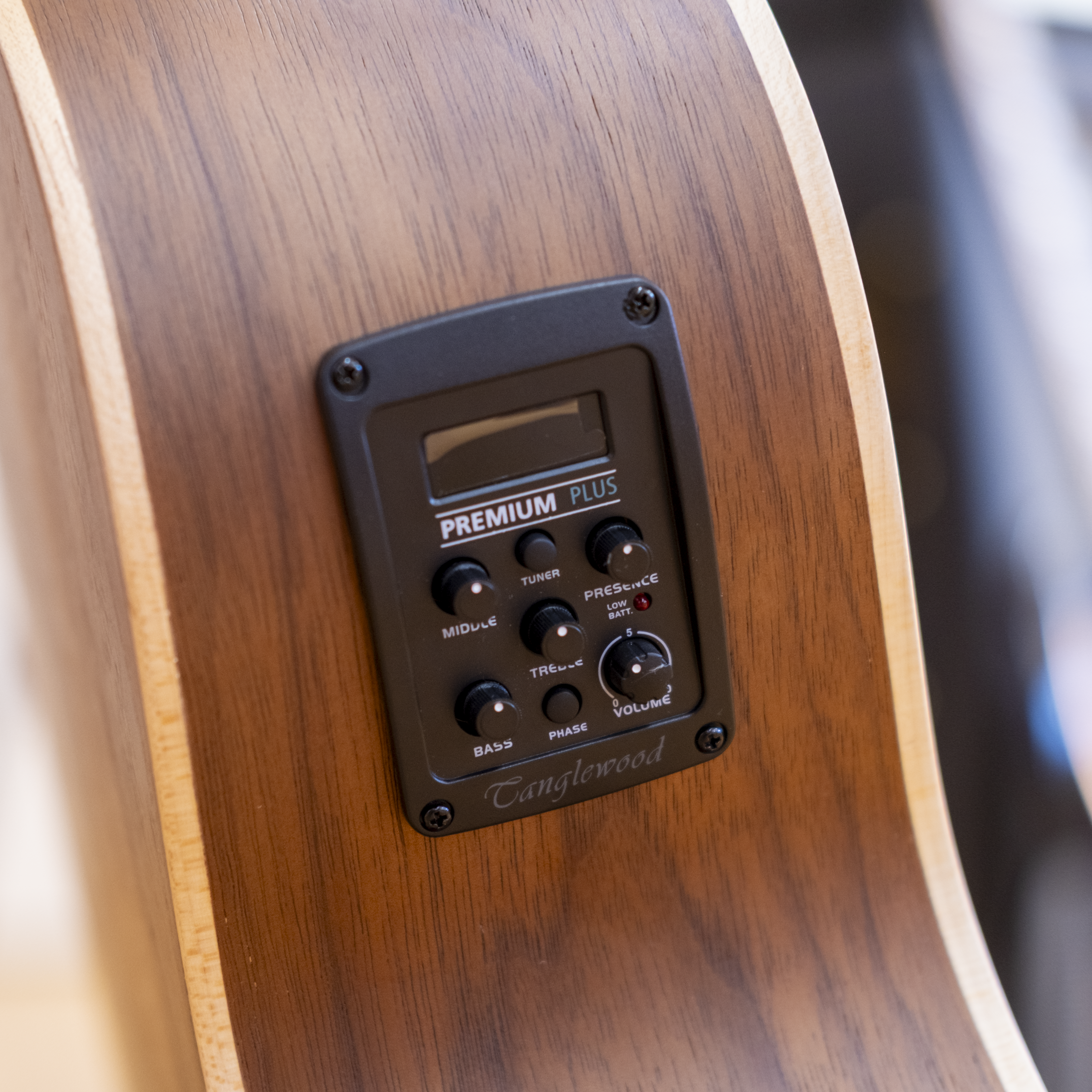 Tanglewood Discovery Exotic Acoustic Electric Bass (Black Walnut)