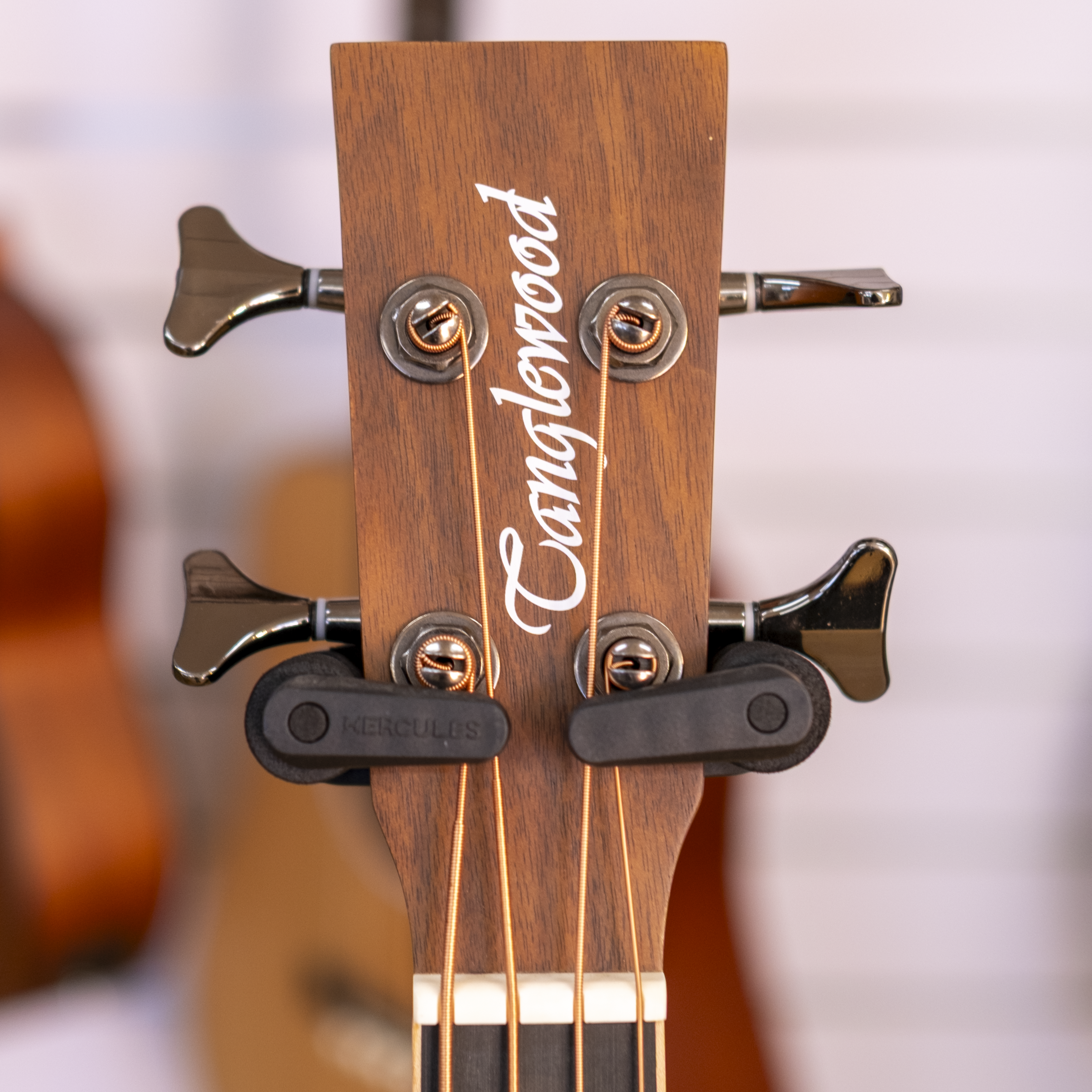 Tanglewood Discovery Exotic Acoustic Electric Bass (Black Walnut)