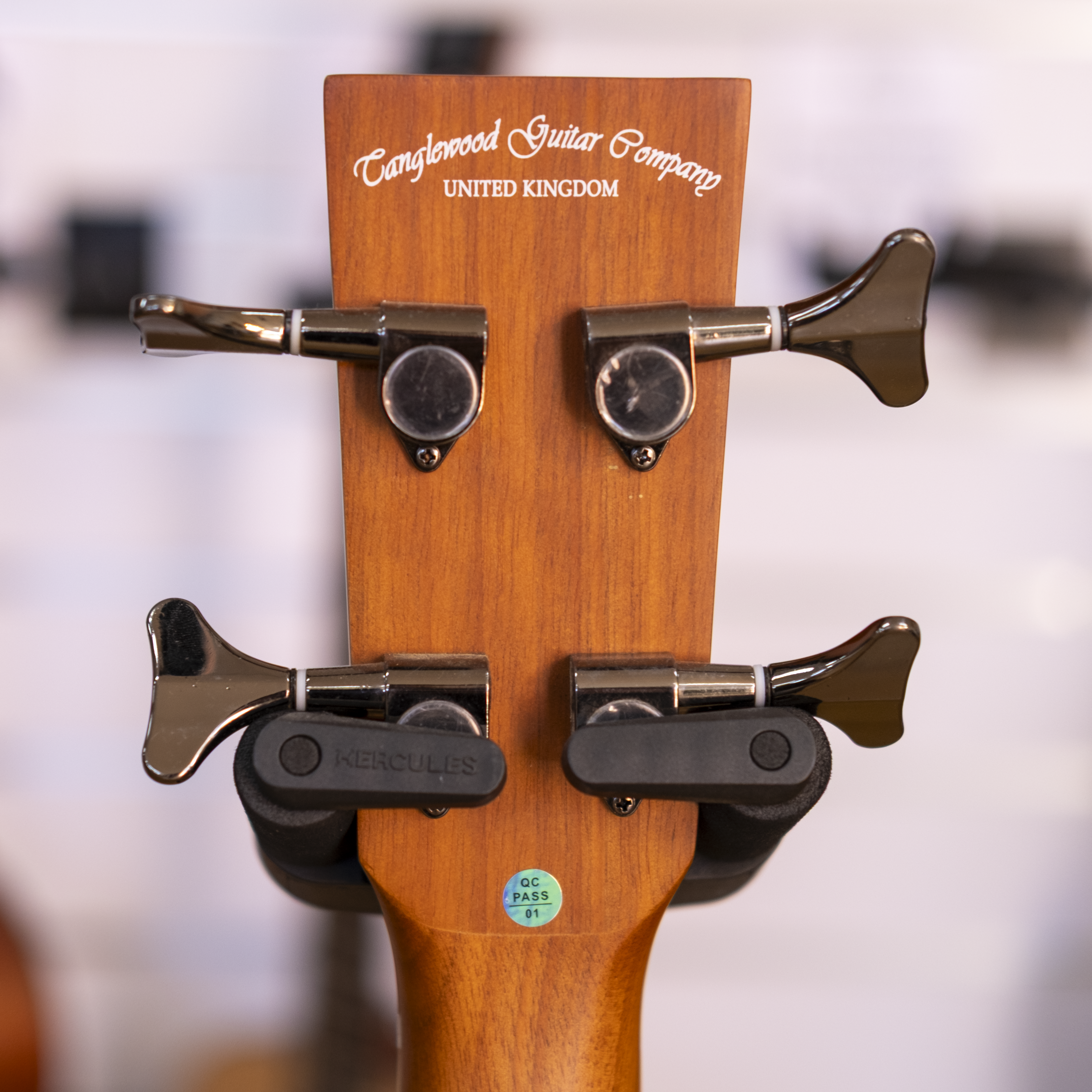 Tanglewood Discovery Exotic Acoustic Electric Bass (Black Walnut)