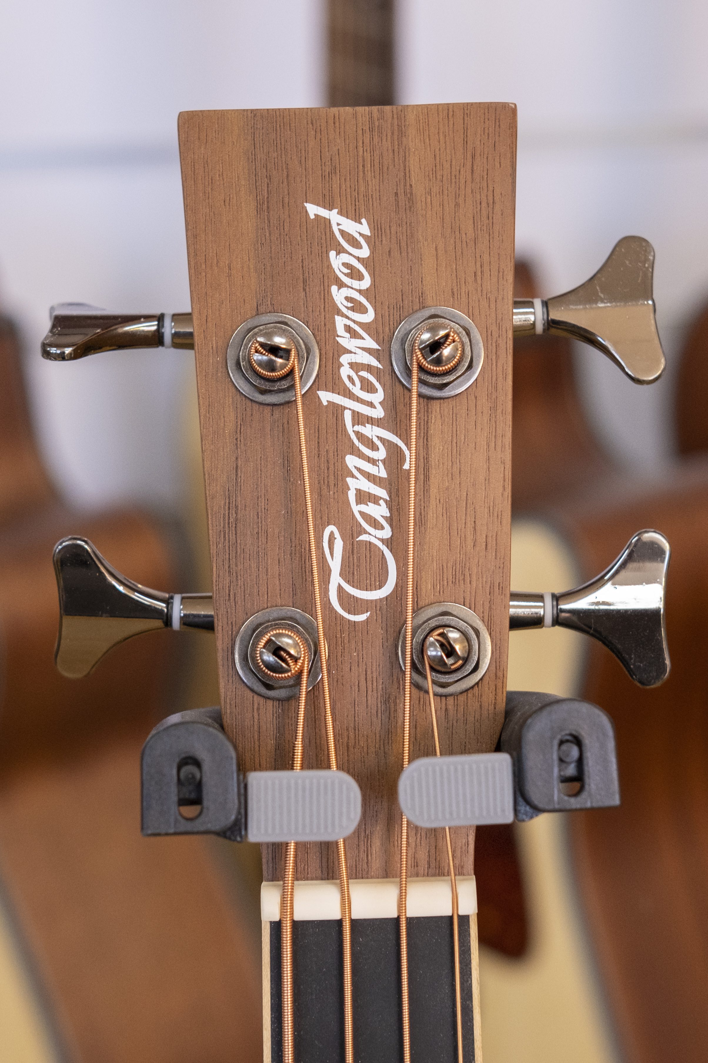 Tanglewood Reunion Series Acoustic Electric Bass Guitar