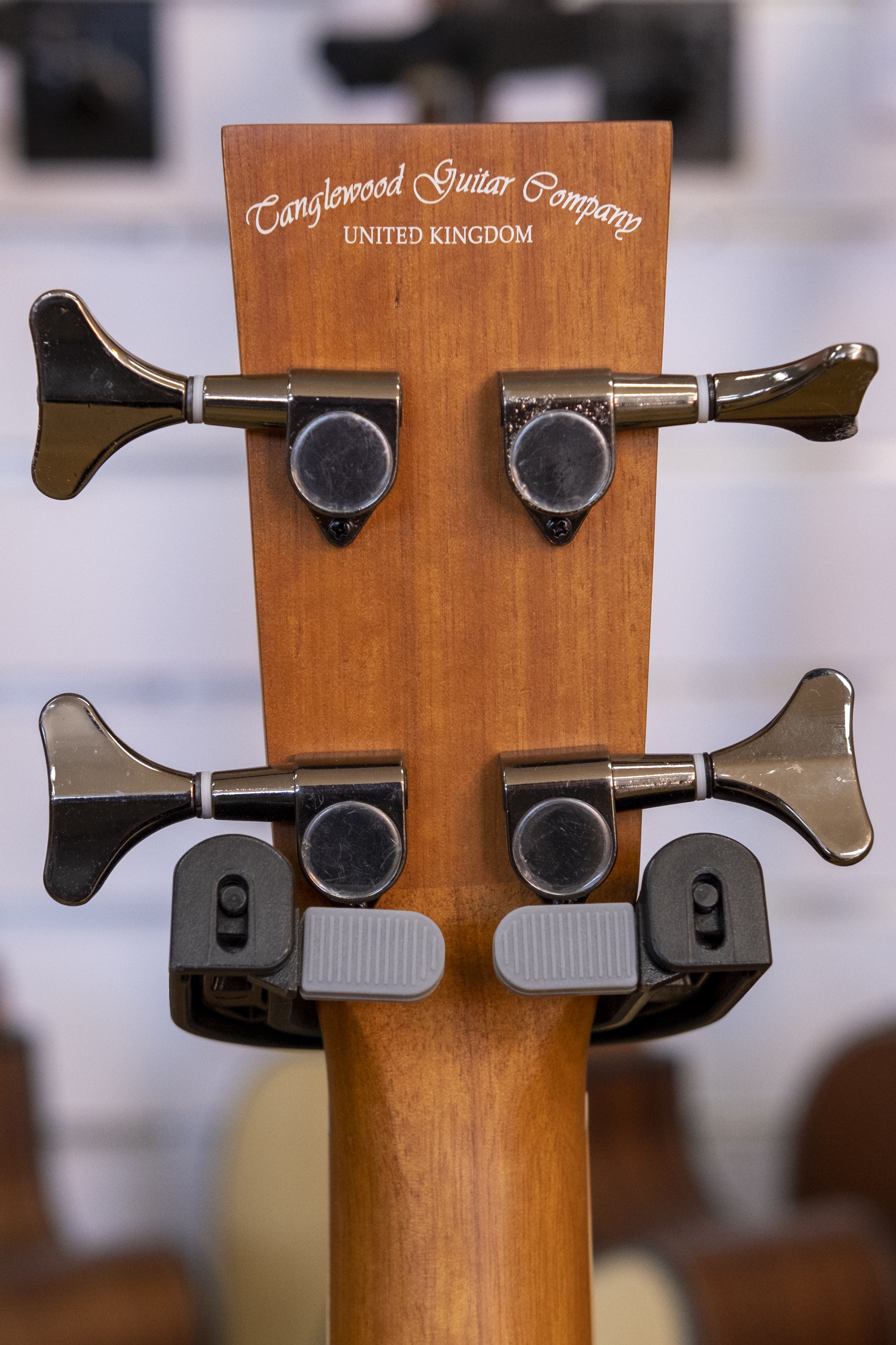 Tanglewood Reunion Series Acoustic Electric Bass Guitar