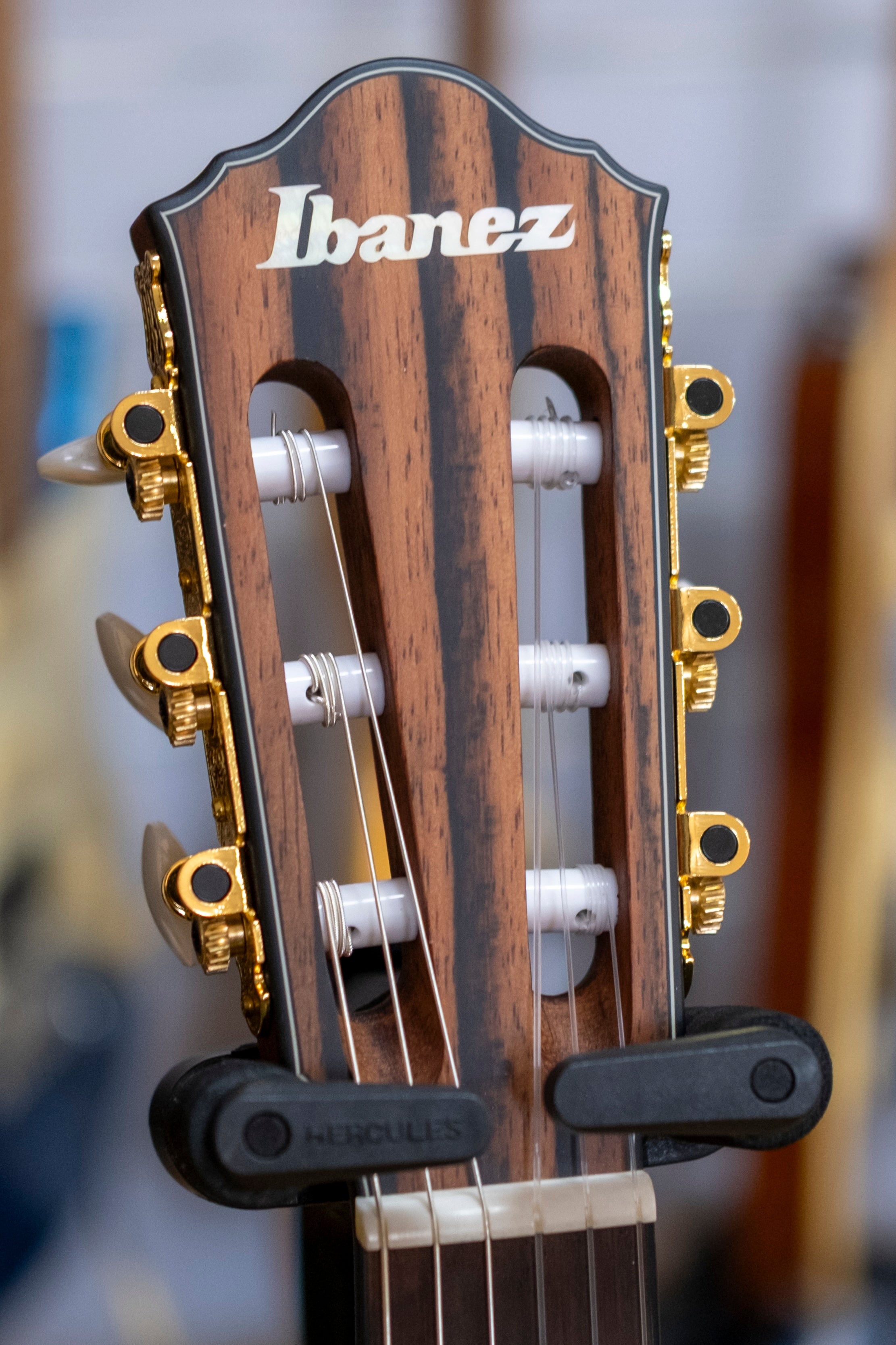 Ibanez FRH10N Electric Nylon String Classical Guitar (Brown Sunburst)