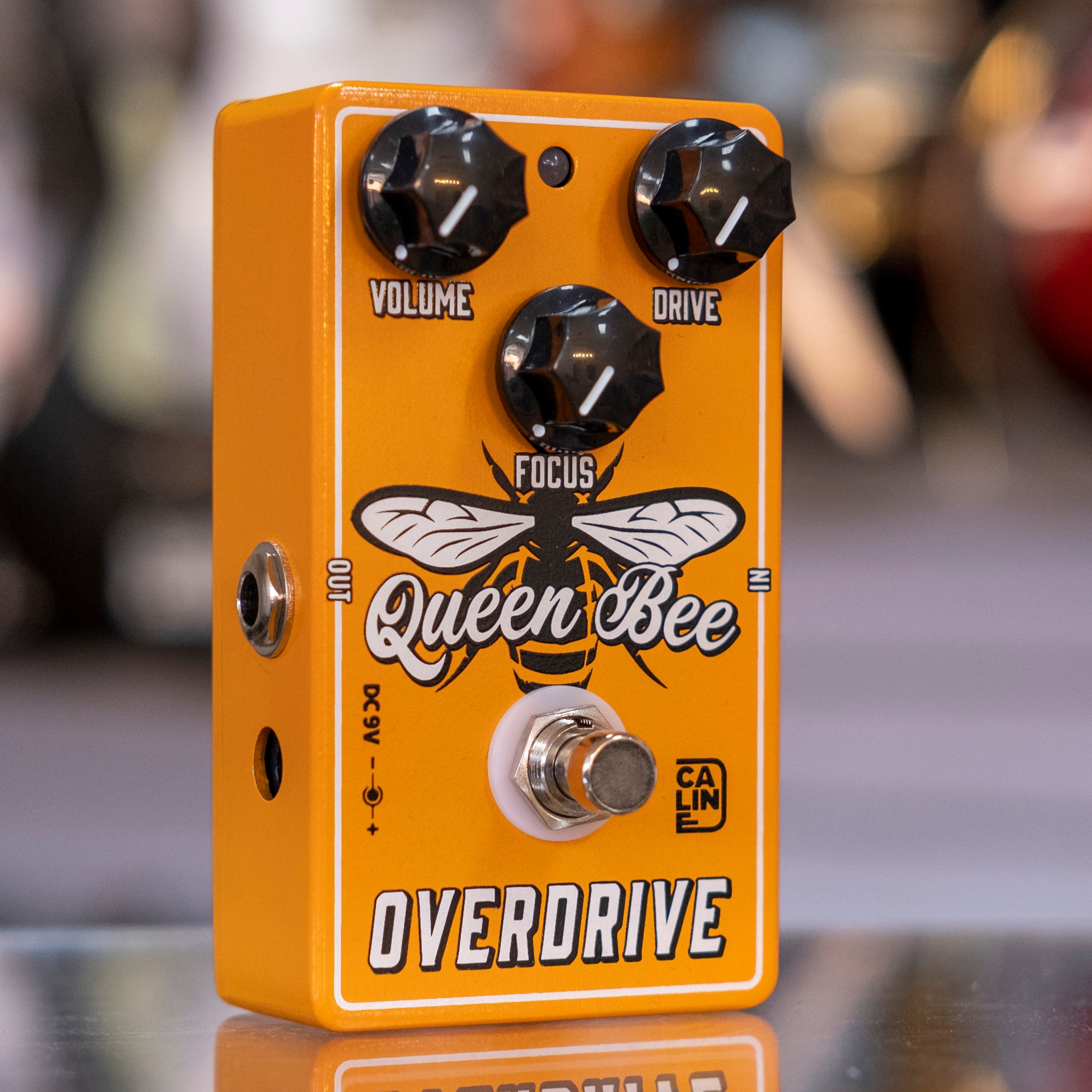 Caline CP-503 Queen Bee Overdrive Pedal
