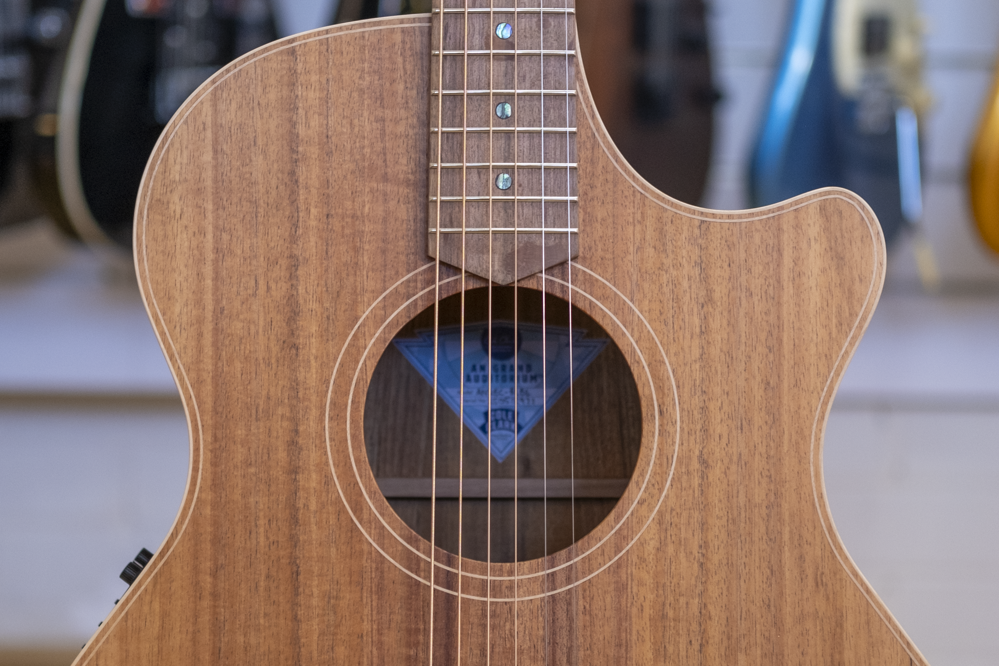 Cole Clark AN2 Angel Acoustic Electric Guitar with Hardcase (Blackwood)