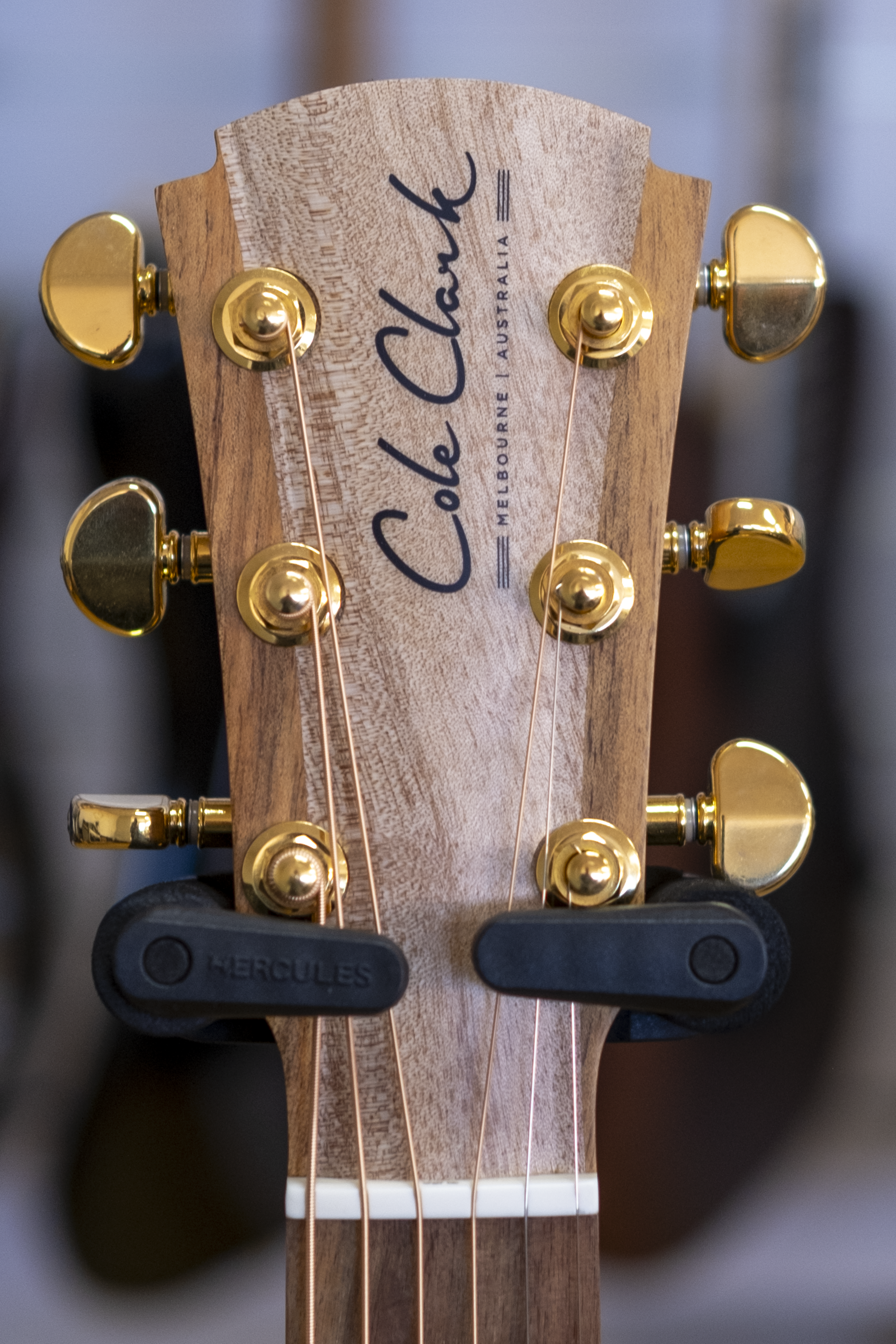 Cole Clark AN2 Angel Acoustic Electric Guitar with Hardcase (Blackwood)