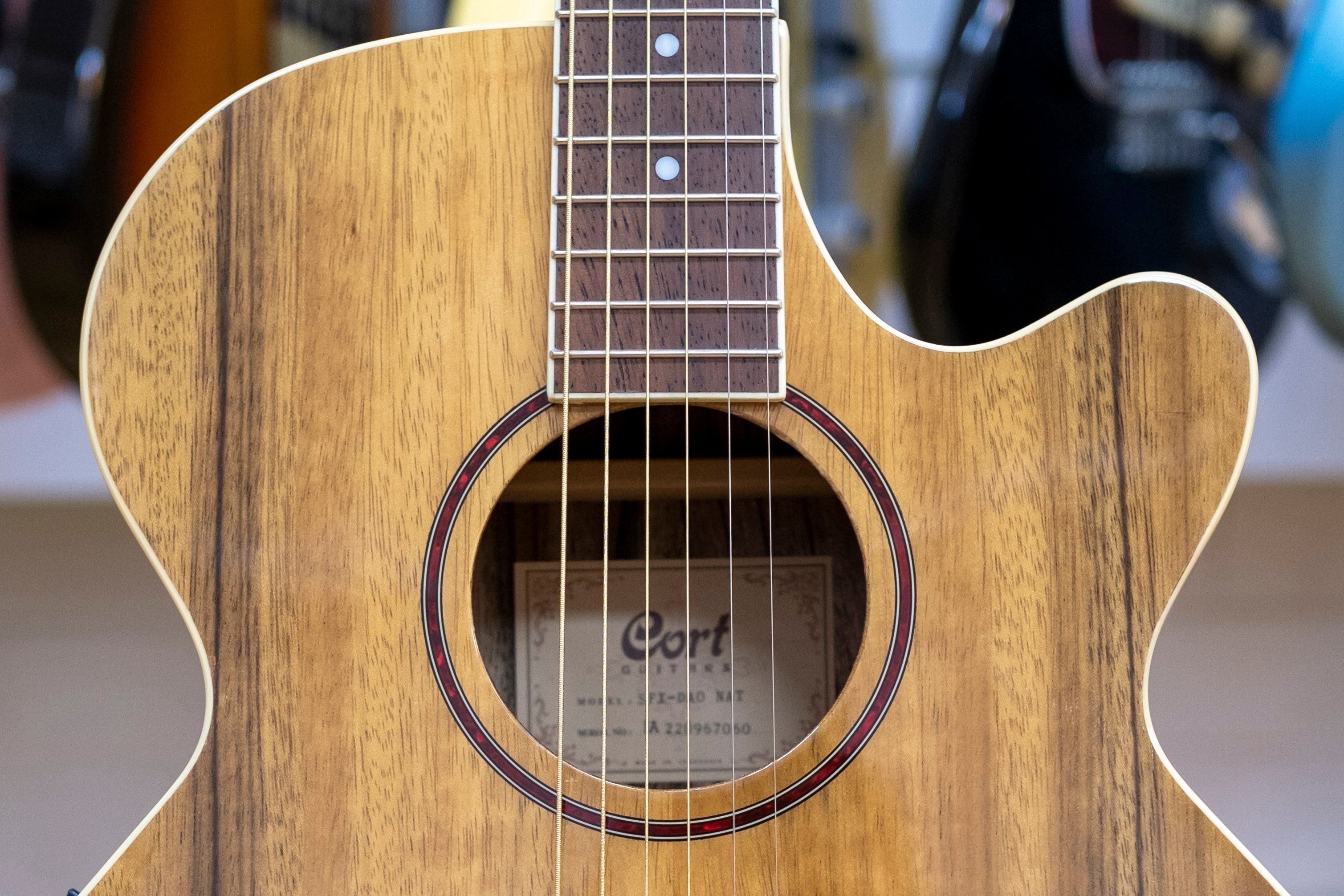Cort SFX-DAO SFX Series Dao Acoustic Electric Guitar with Gig Bag
