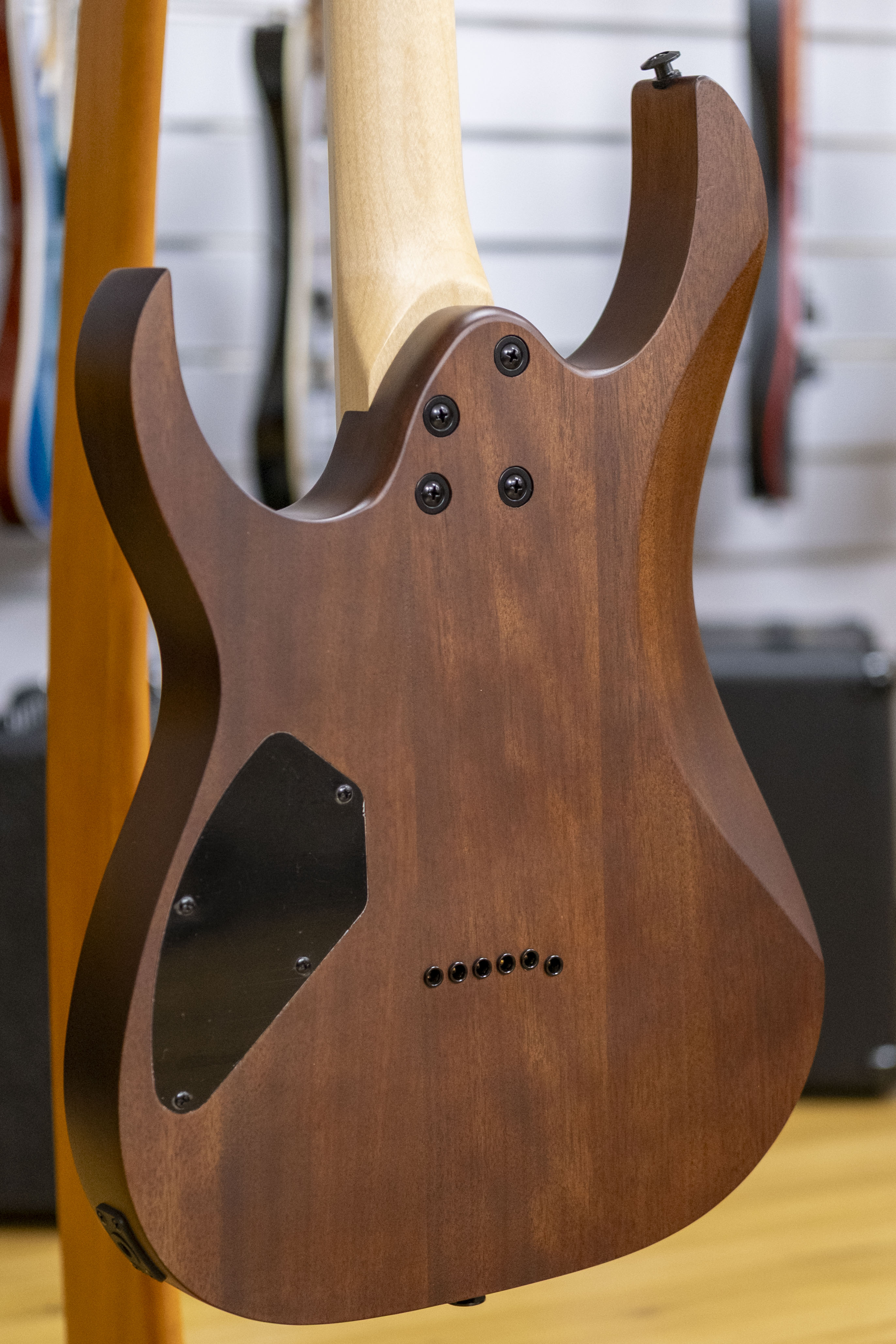 Ibanez Gio RG121DX Electric Guitar (Walnut Flat)