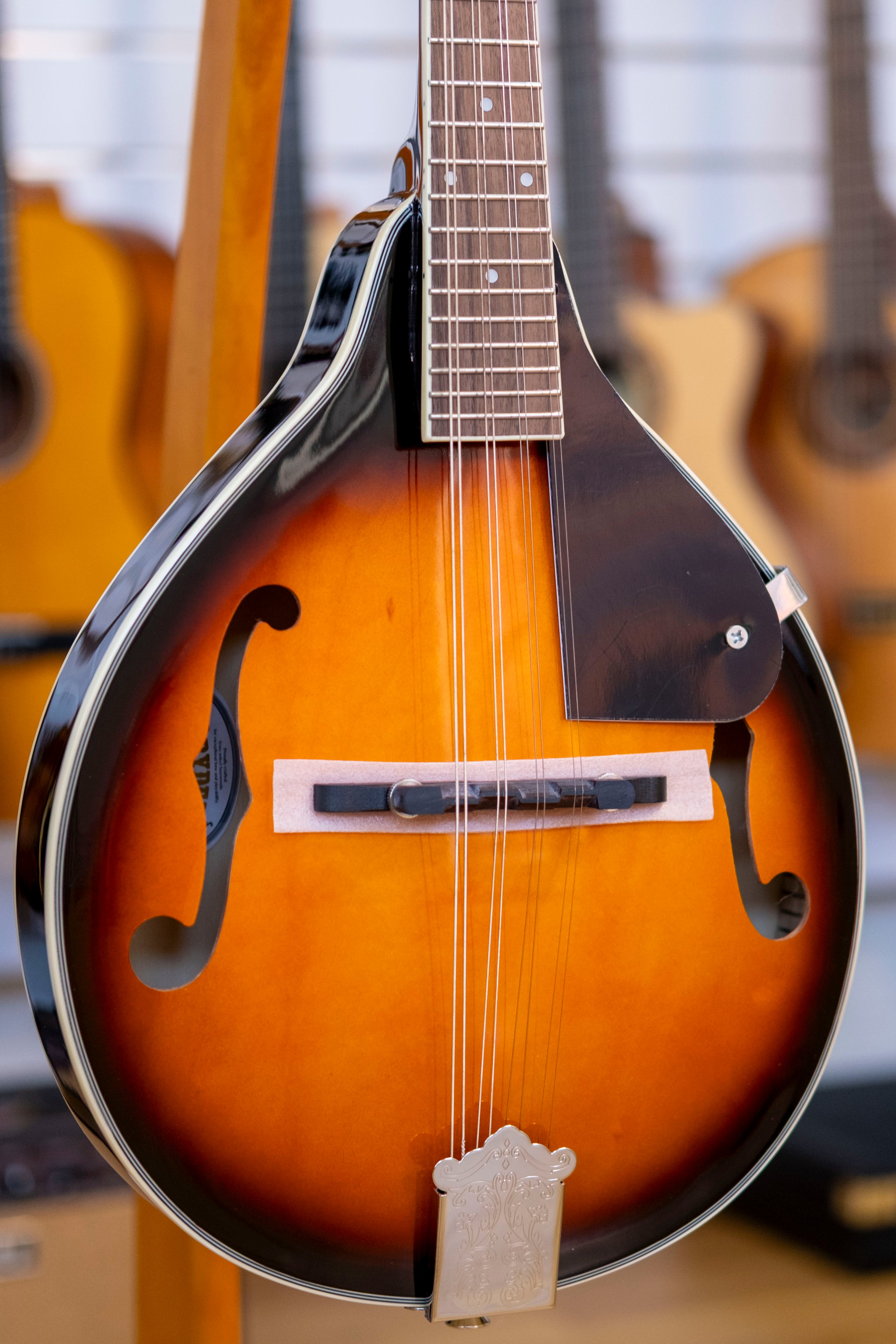 Bryden Archtop 'A' Style Mandolin (Tobacco Sunburst)