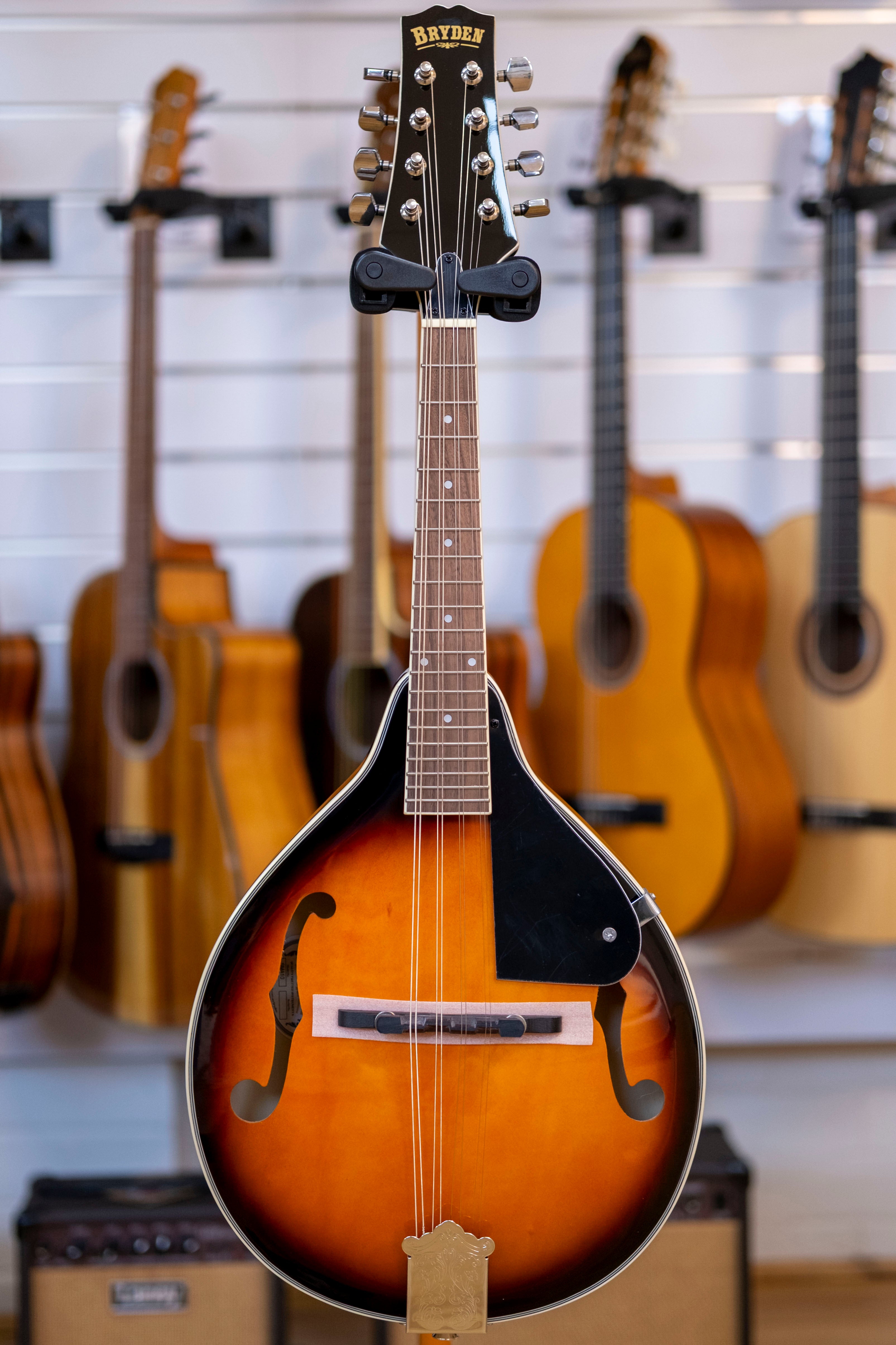 Bryden Archtop 'A' Style Mandolin (Tobacco Sunburst)