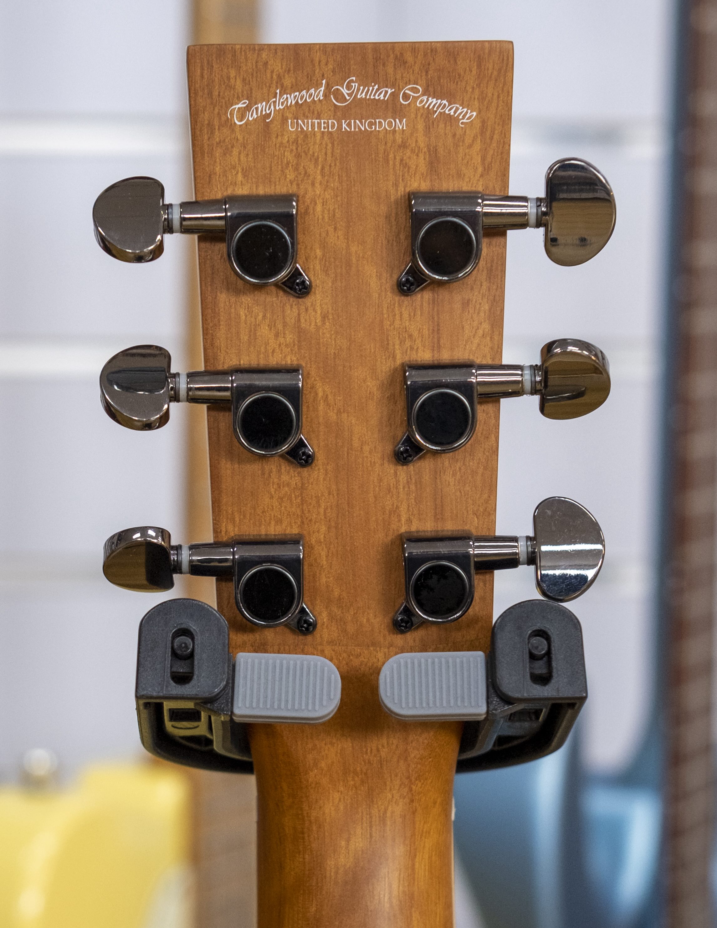 Tanglewood Reunion Superfolk Acoustic Electric Guitar (Australian Red Cedar/Pacific Walnut)