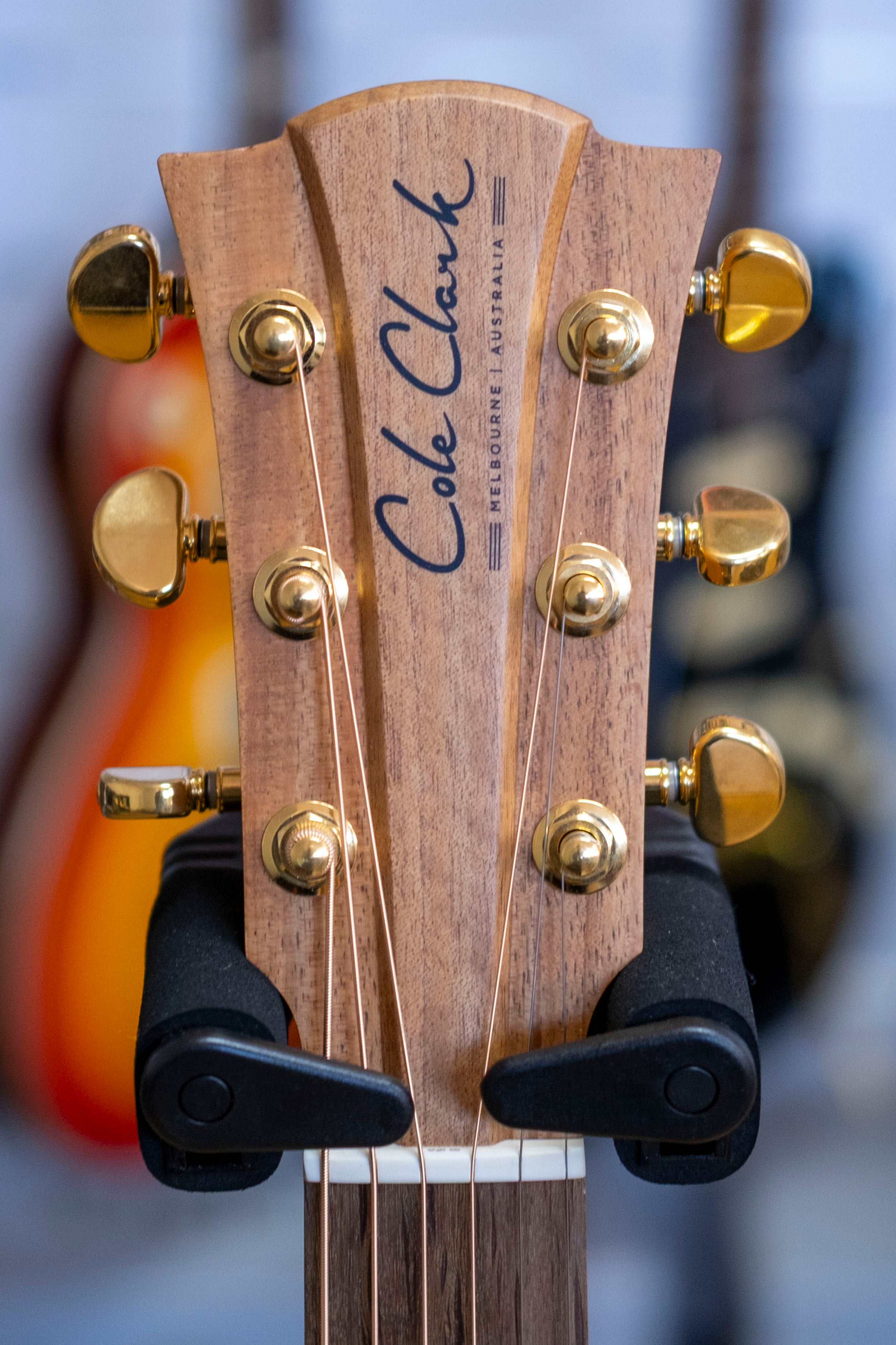 Cole Clark FL2EC Dreadnought Acoustic Electric Guitar (Blackwood)