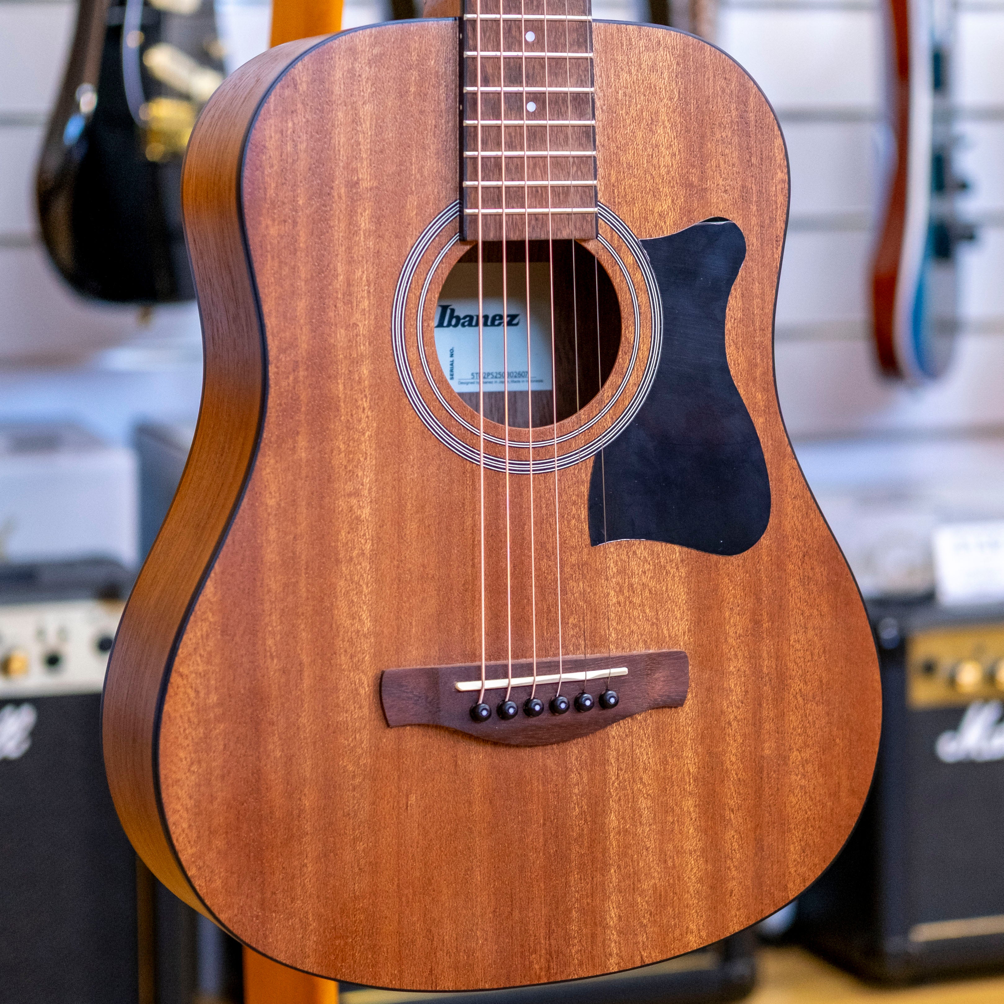 Ibanez V Series Mini 3/4 Size Dreadnought Acoustic Guitar (Meranti)