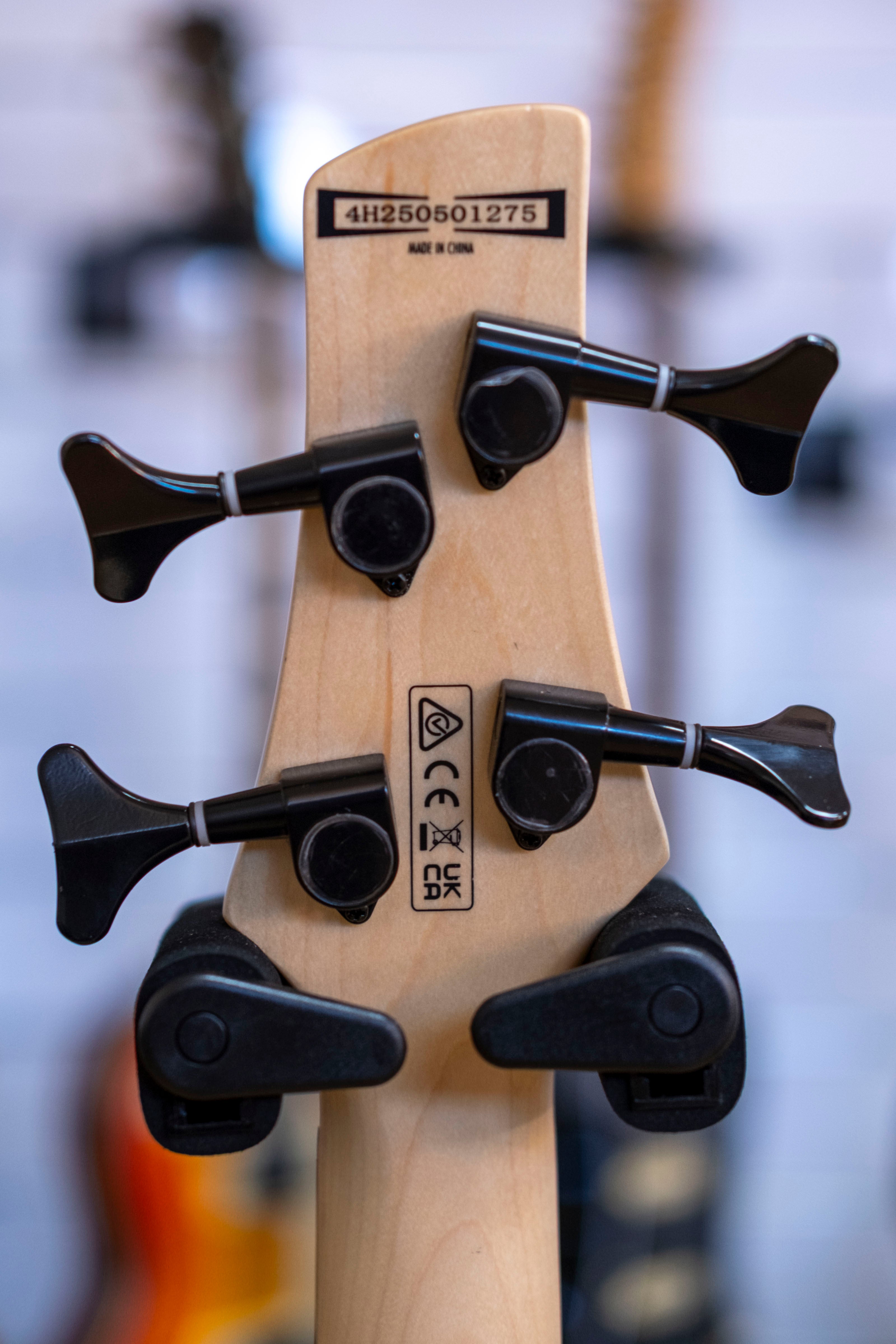 Ibanez Gio SR200B Bass Guitar (Walnut Flat)