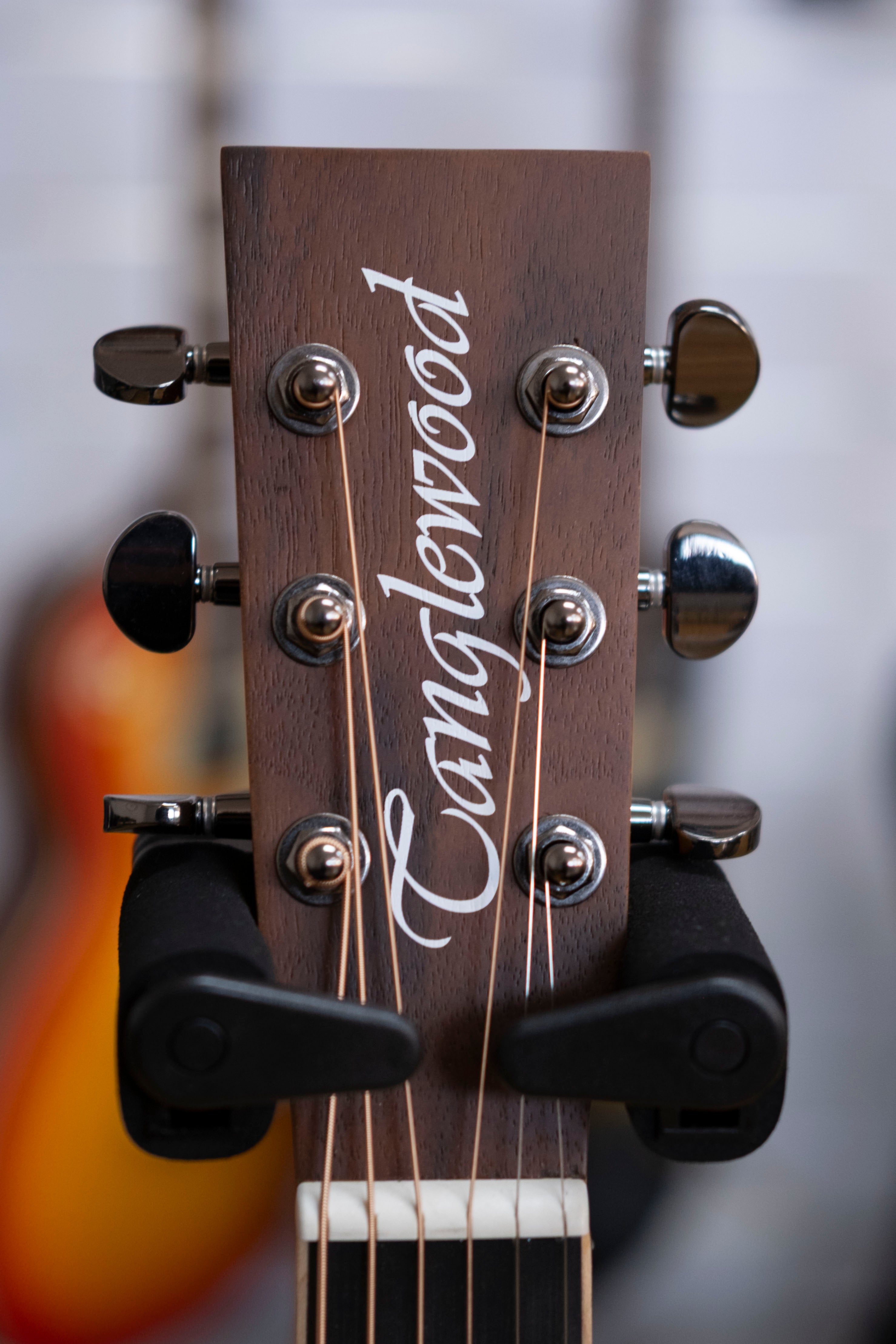 Tanglewood Reunion Pro Superfolk Acoustic Electric Guitar (Australian Red Cedar / Blackwood)