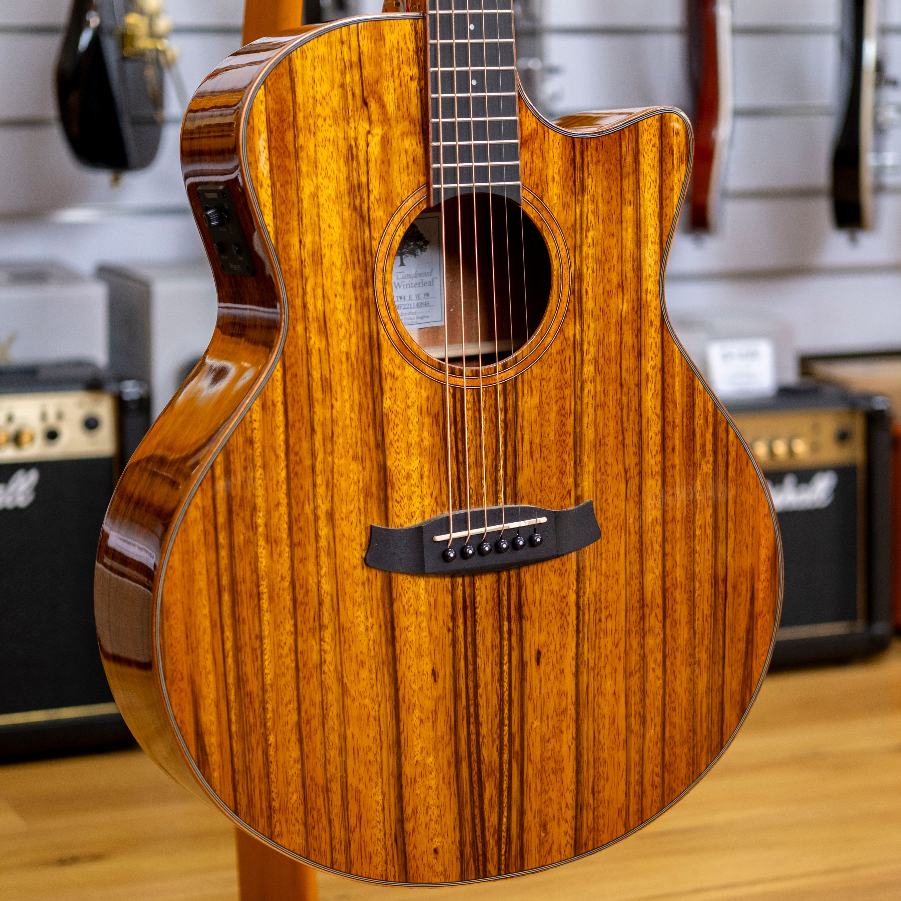 Tanglewood Winterleaf Exotic Grand Auditorium Acoustic Electric Guitar (Pacific Walnut)