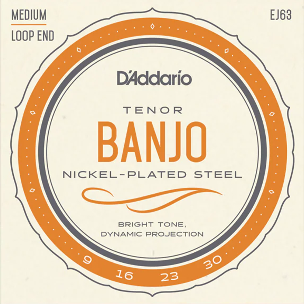 D'Addario EJ63 Medium Tenor Banjo Strings (9/30)