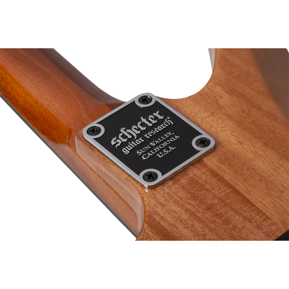 Schecter Synyster Standard Plus Electric Guitar (Gloss Natural)