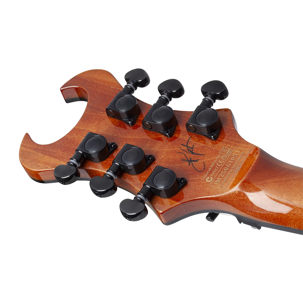 Schecter Synyster Standard Plus Electric Guitar (Gloss Natural)