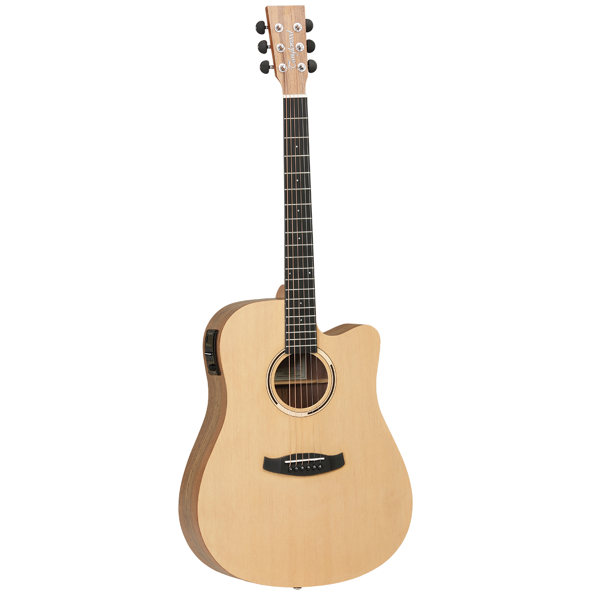 Tanglewood Discovery Exotic Series Dreadnought Acoustic Electric Guitar (Hawaiian Rainwood)