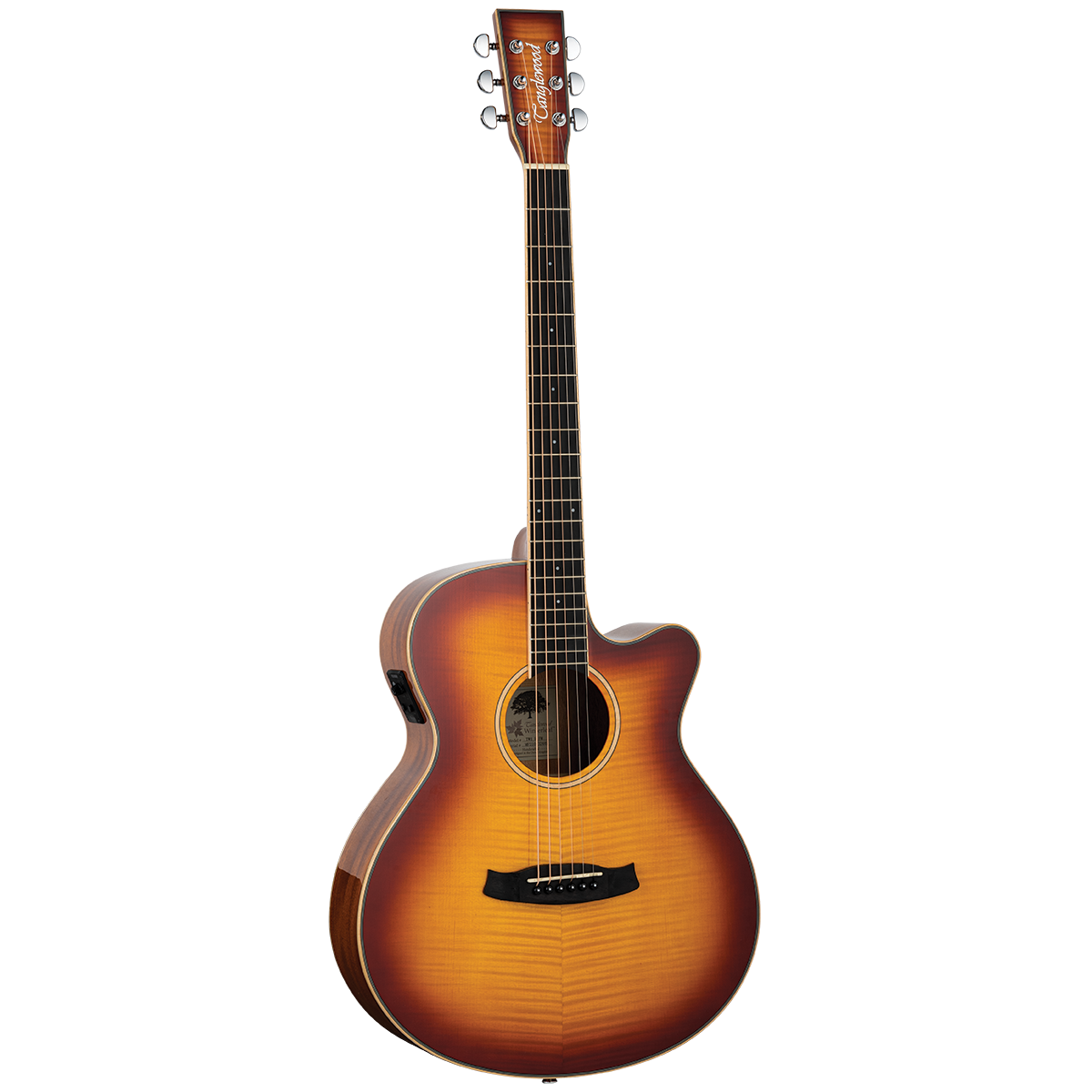 Tanglewood Winterleaf Exotic Superfolk Acoustic Electric Guitar (Tiger Flame Maple)