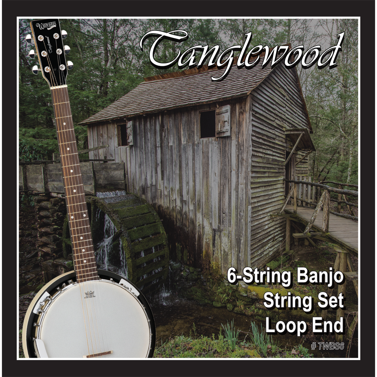 Tanglewood TWBS6 6 String Banjo Ganjo String Set - Loop End