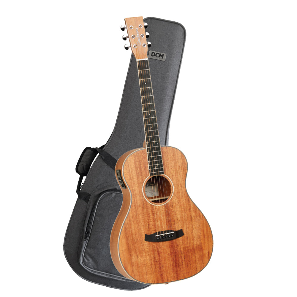 Tanglewood Union Series Parlour Acoustic Electric Guitar with Case